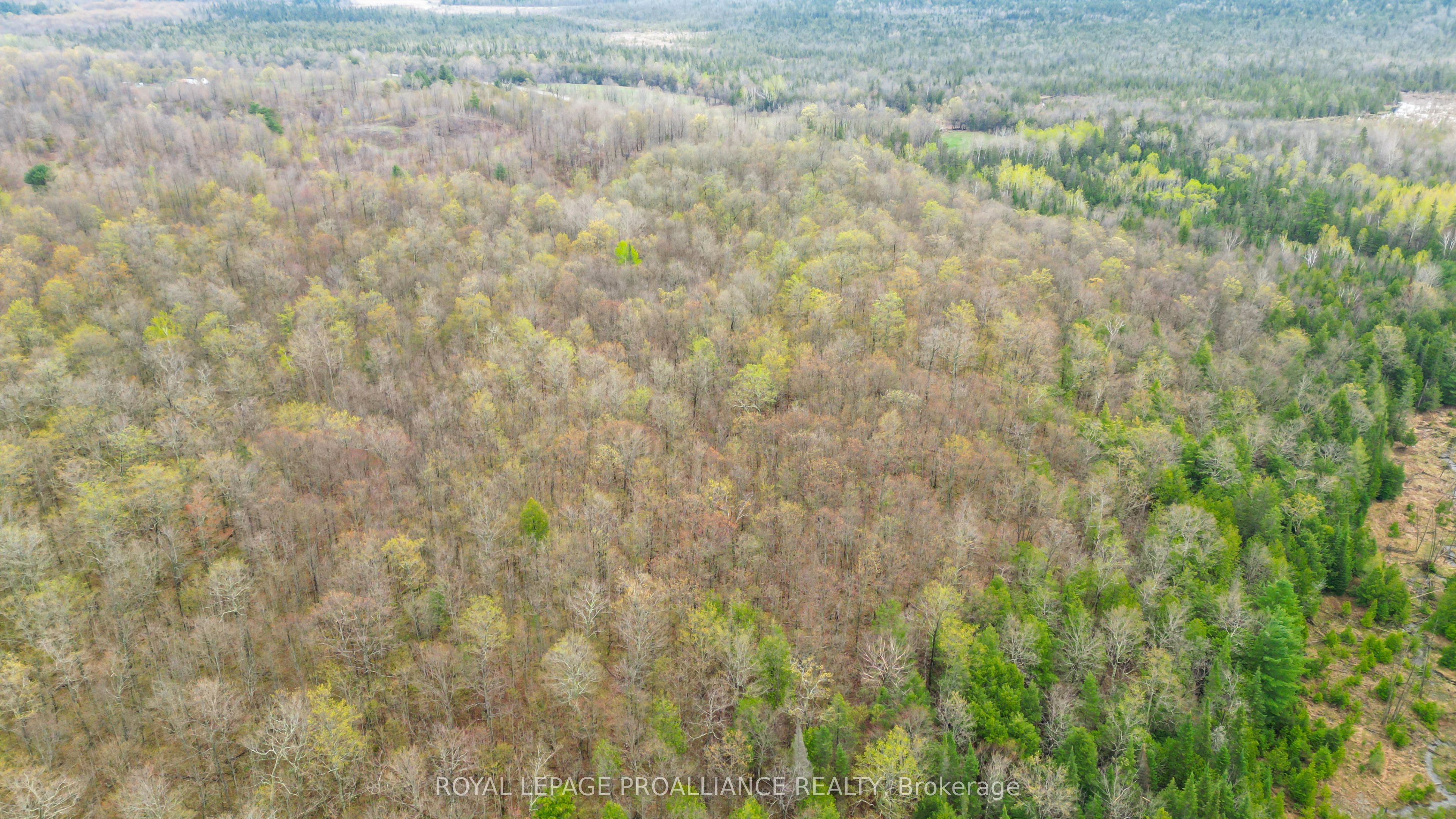 0 Spry Settlement Road Property Photo 19