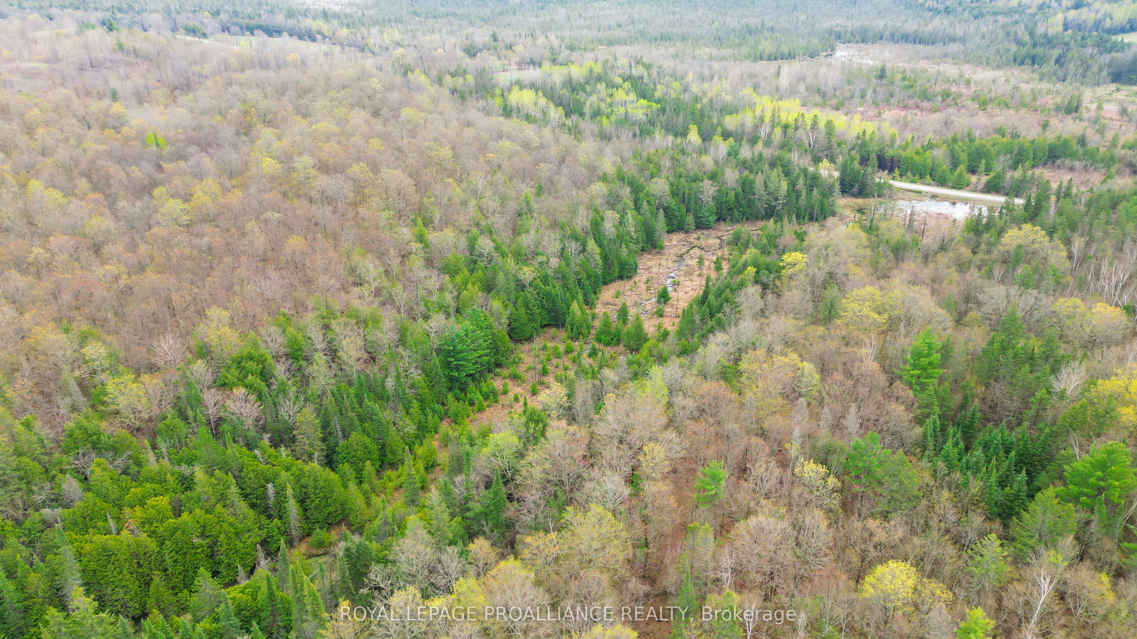 0 Spry Settlement Road Property Photo 21