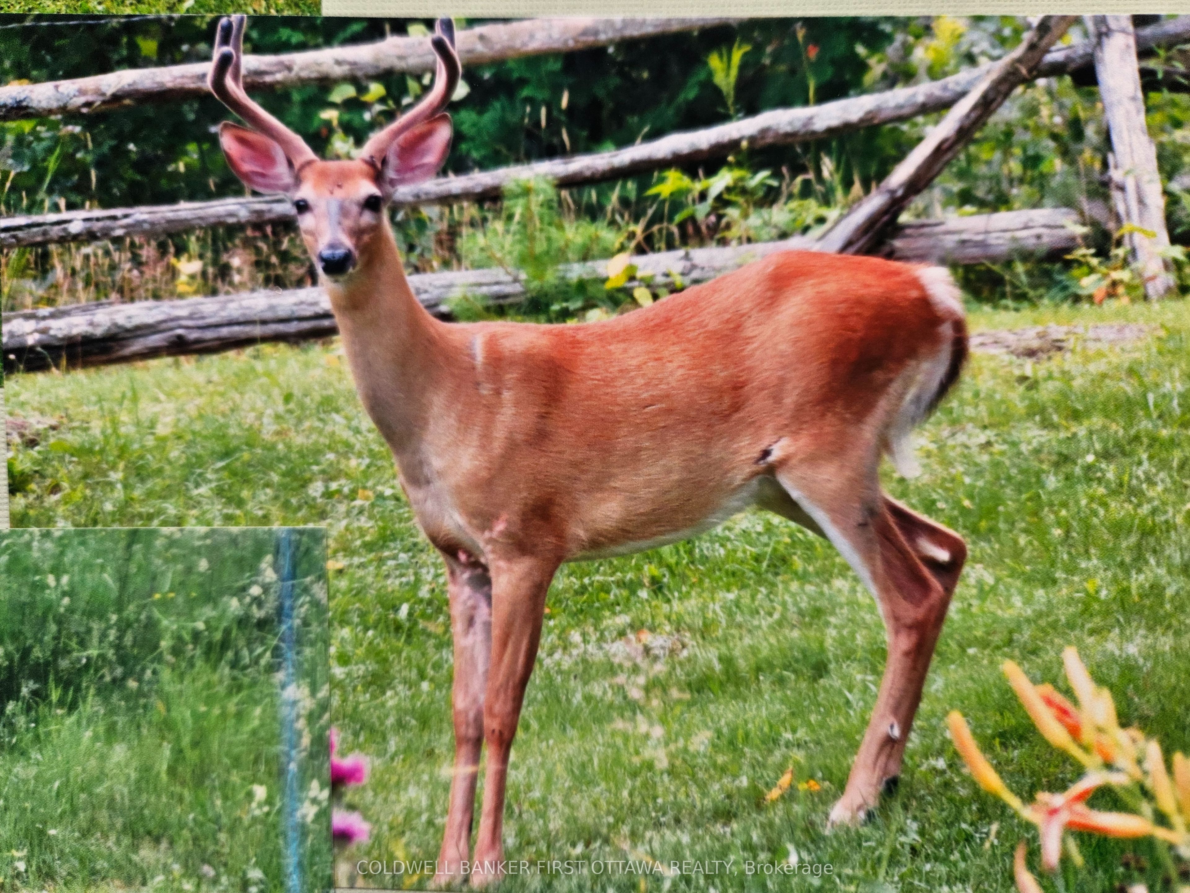 9252 Highway 511 Road Property Photo 4