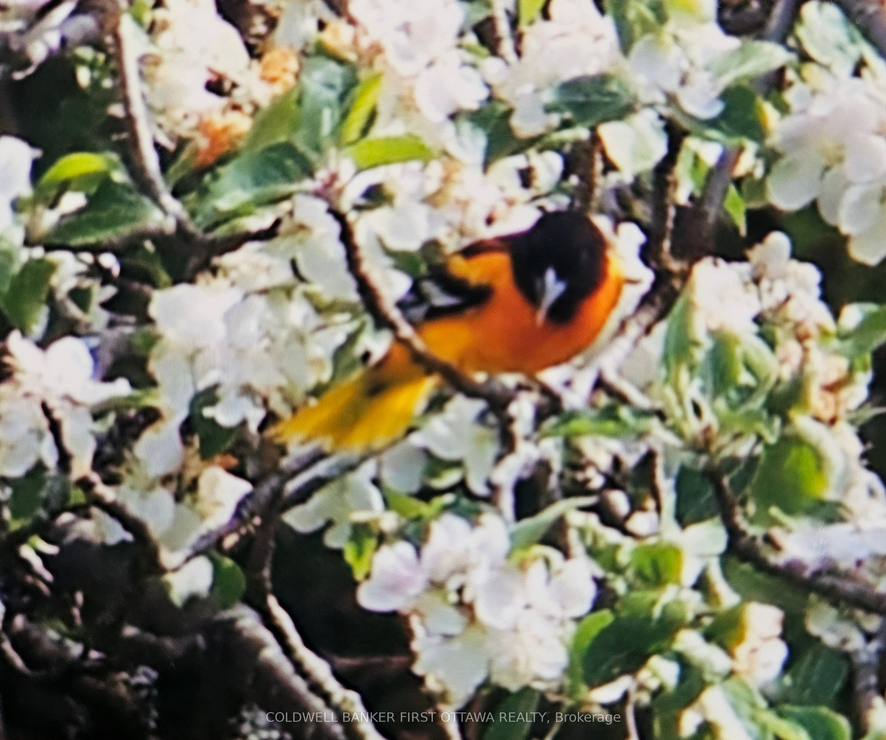 9252 Highway 511 Road Property Photo 6