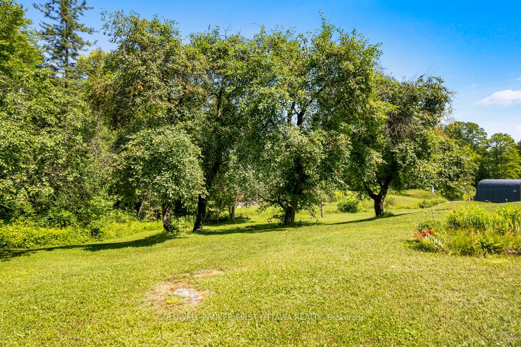 9252 Highway 511 Road Property Photo 25