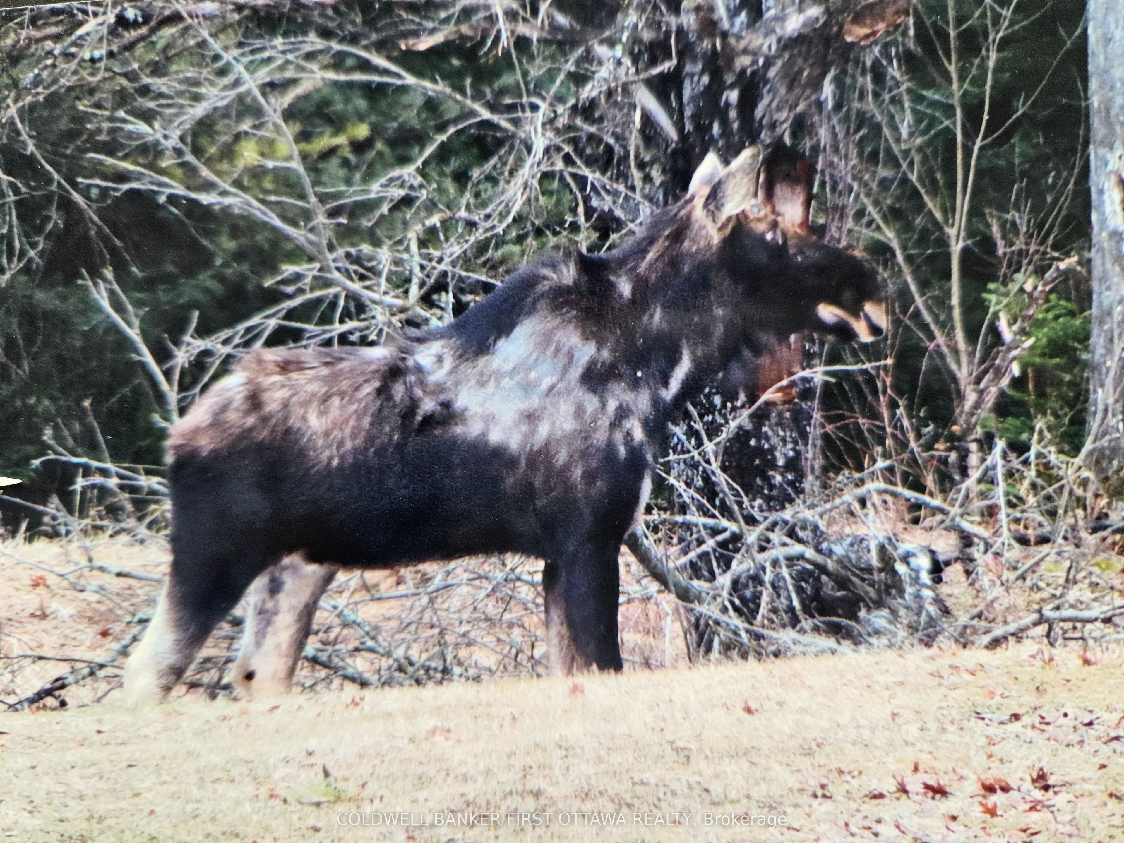 9252 Highway 511 Road Property Photo 30