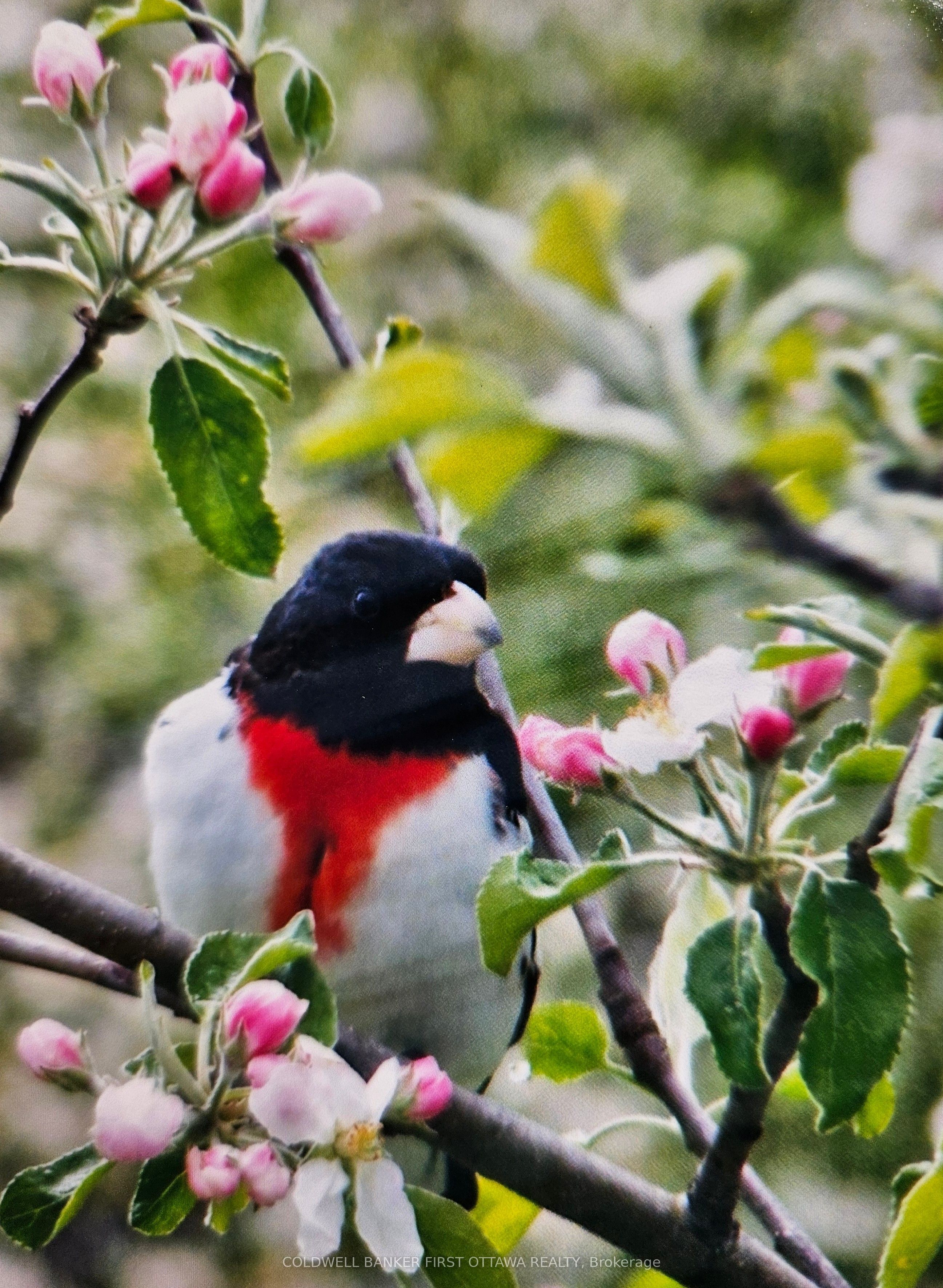 9252 Highway 511 Road Property Photo 31