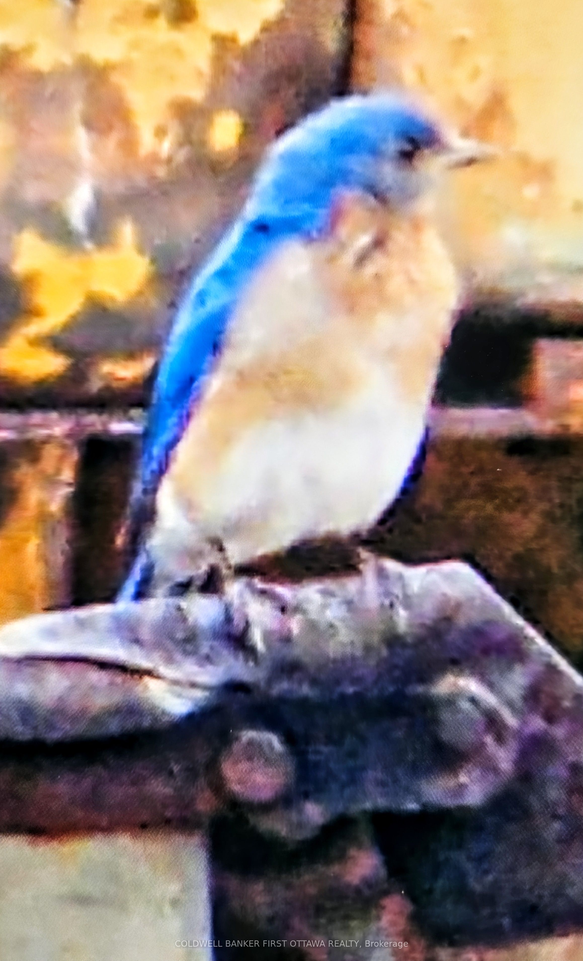 9252 Highway 511 Road Property Photo 33