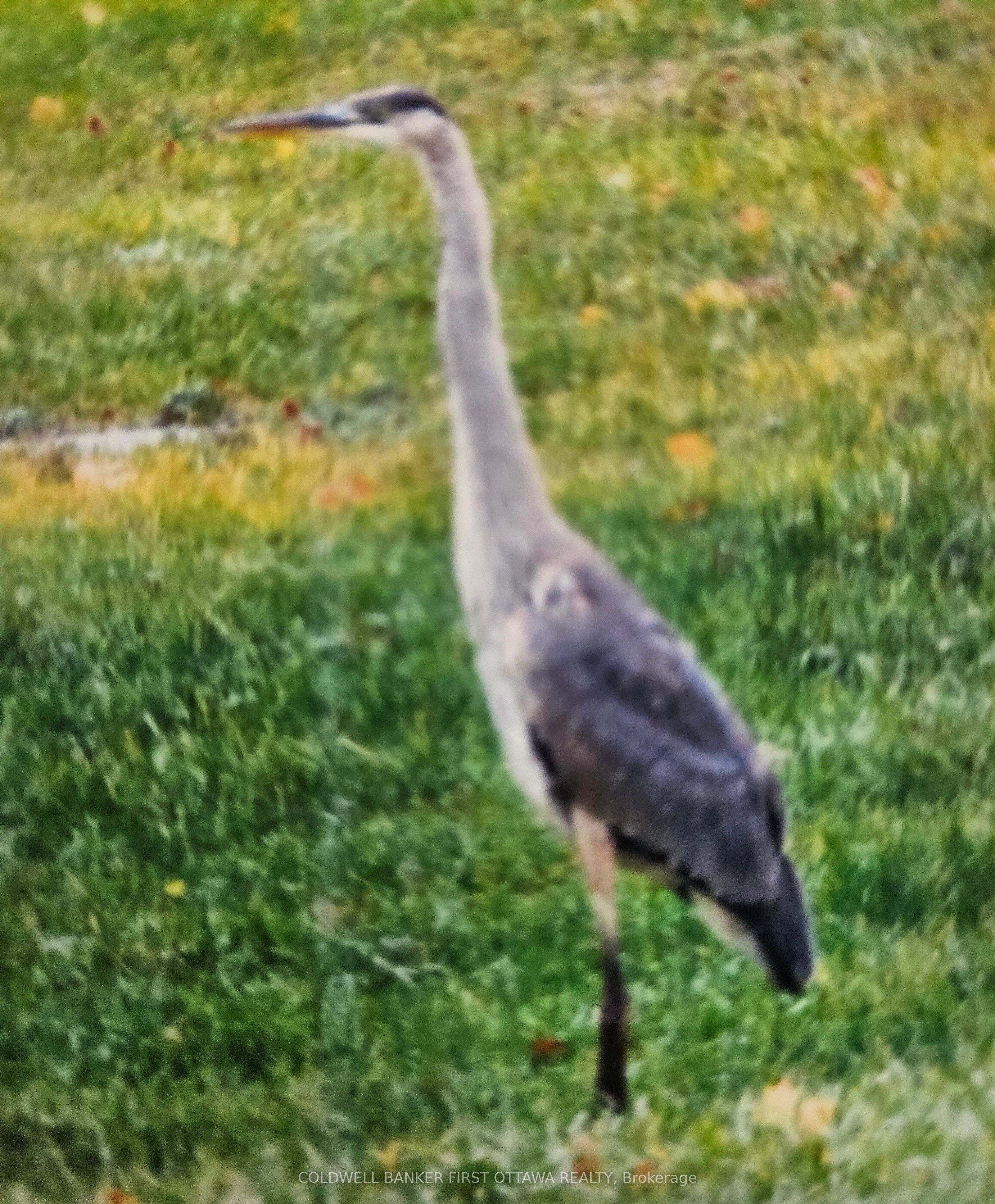 9252 Highway 511 Road Property Photo 34