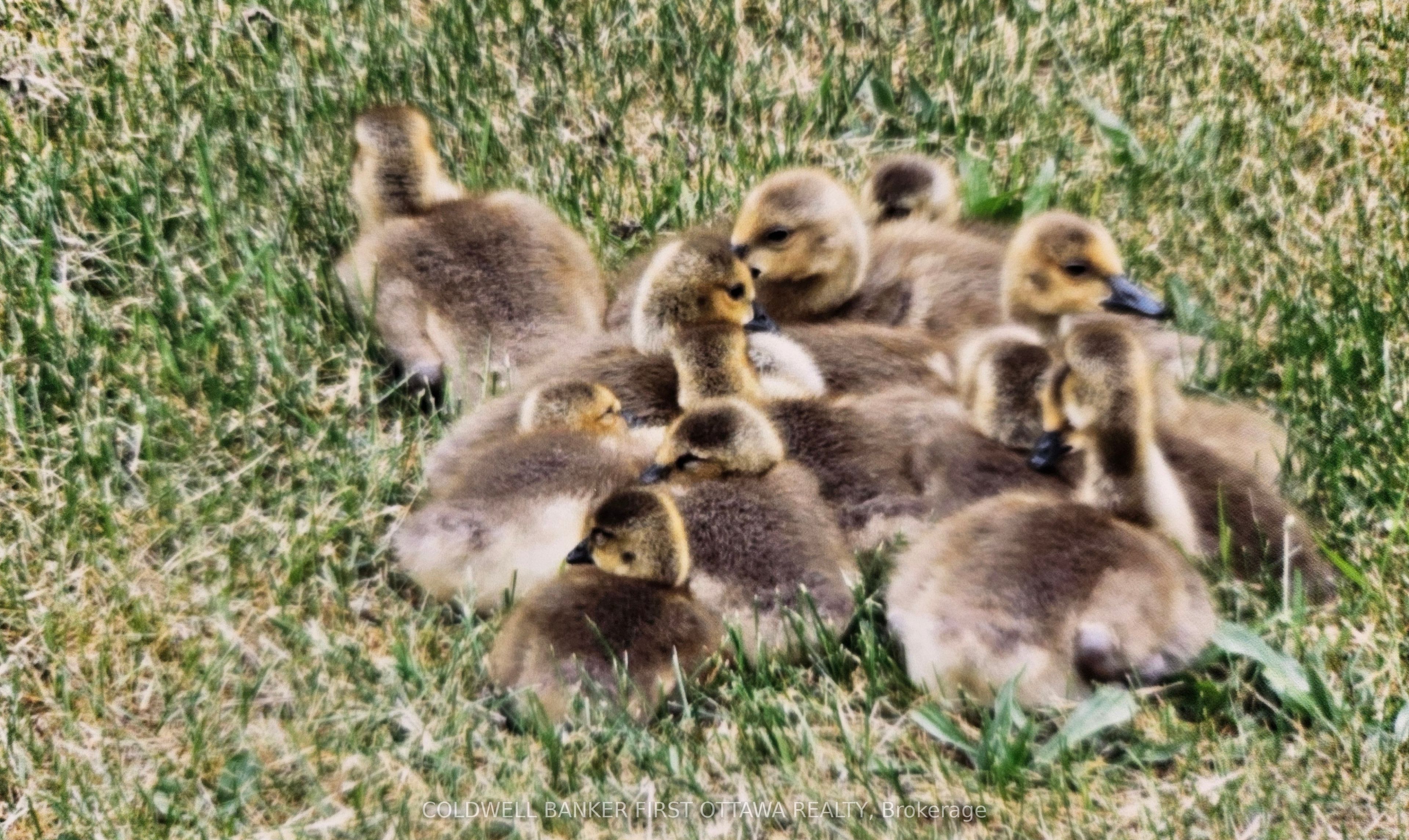 9252 Highway 511 Road Property Photo 35