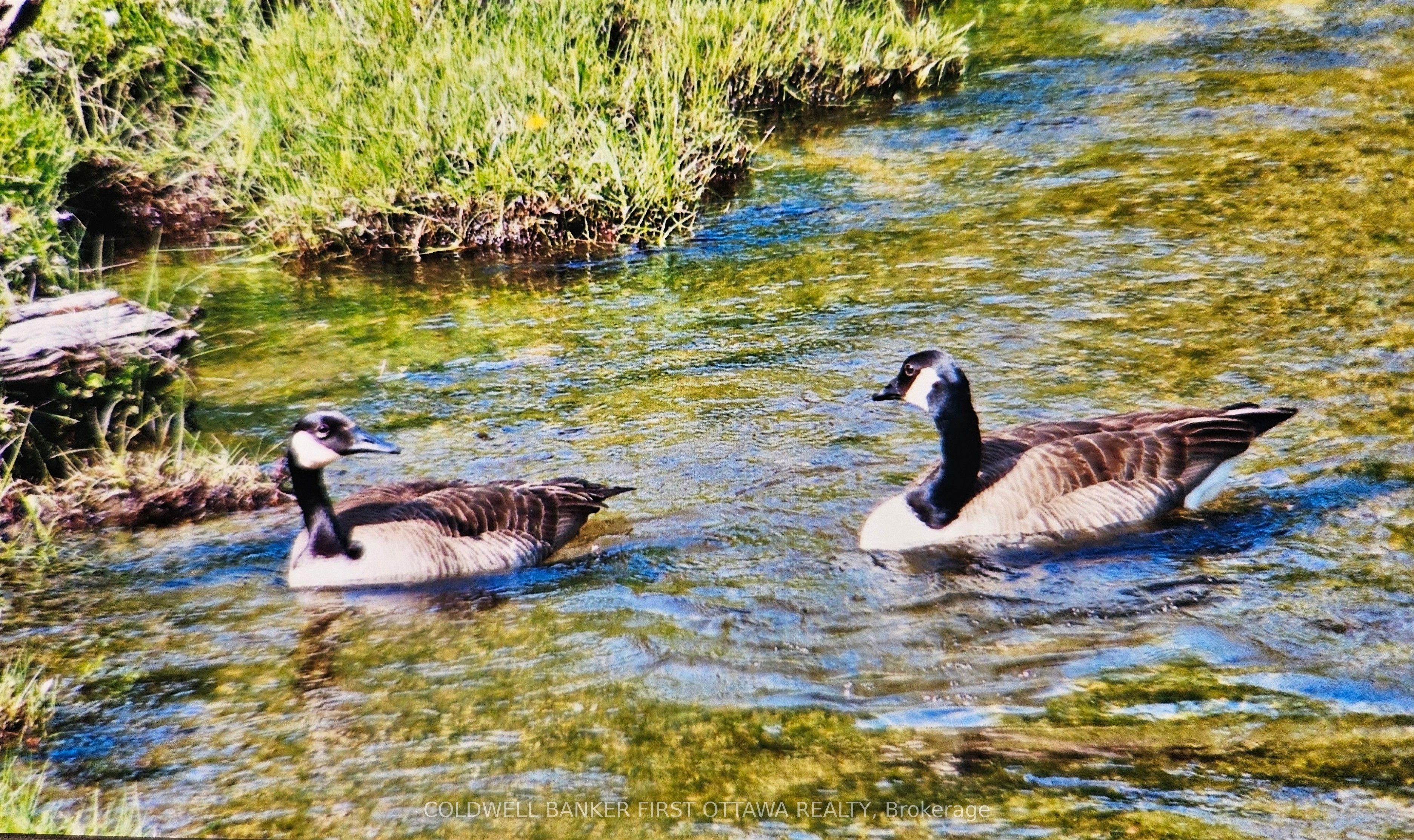 9252 Highway 511 Road Property Photo 37