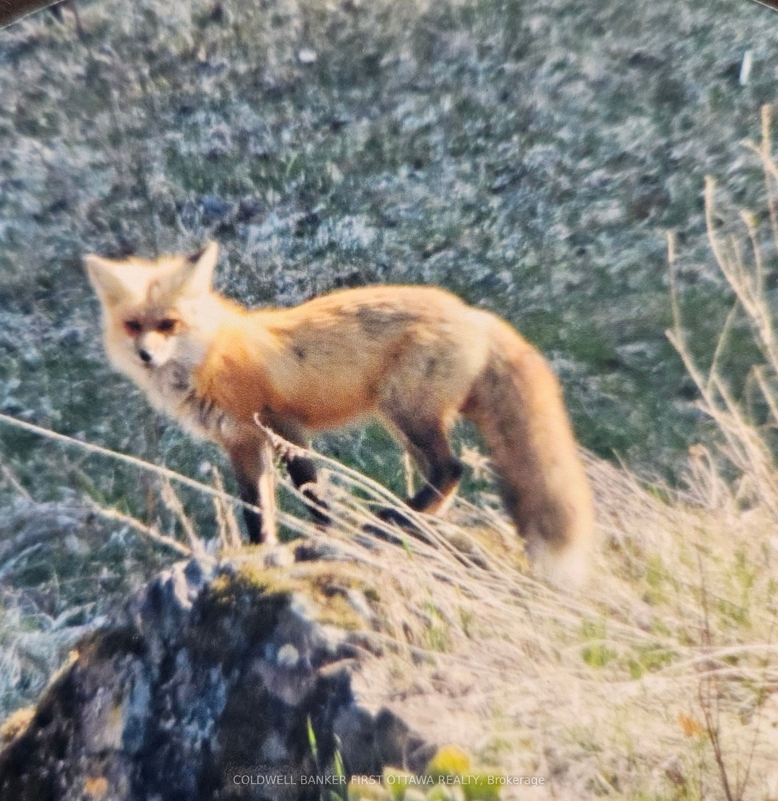 9252 Highway 511 Road Property Photo 39