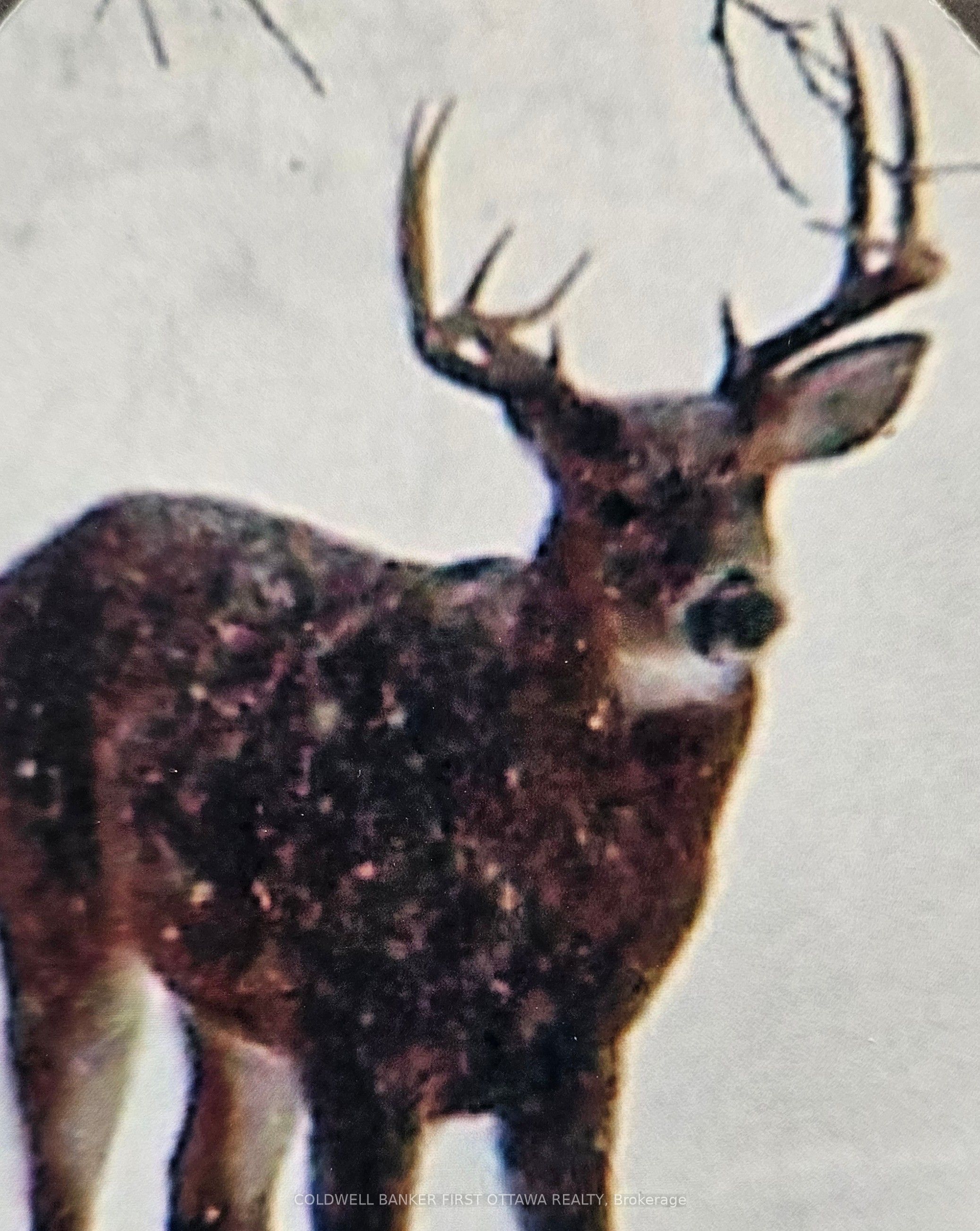 9252 Highway 511 Road Property Photo 40