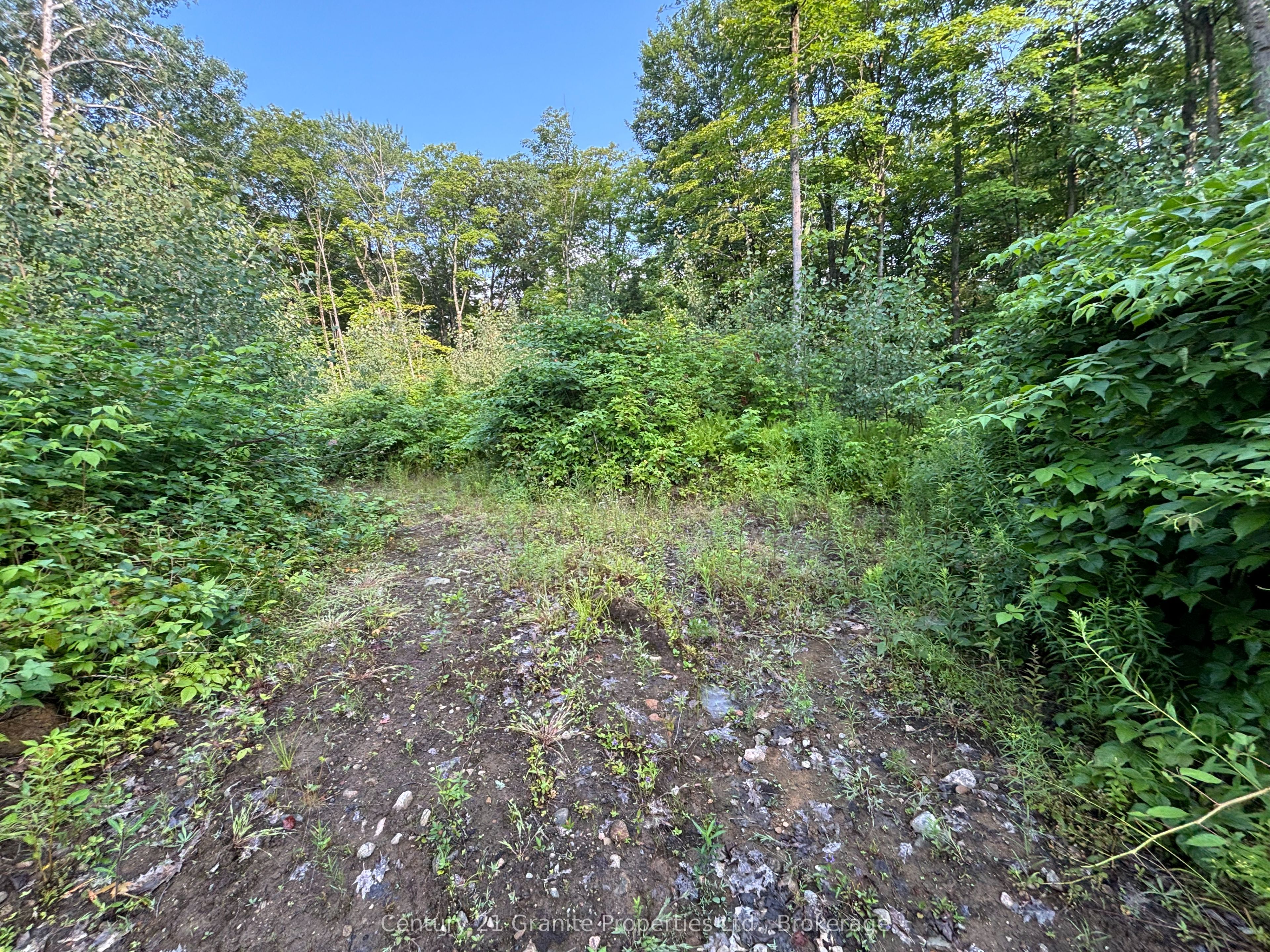 Lot 5 Louisa Street Property Photo 4
