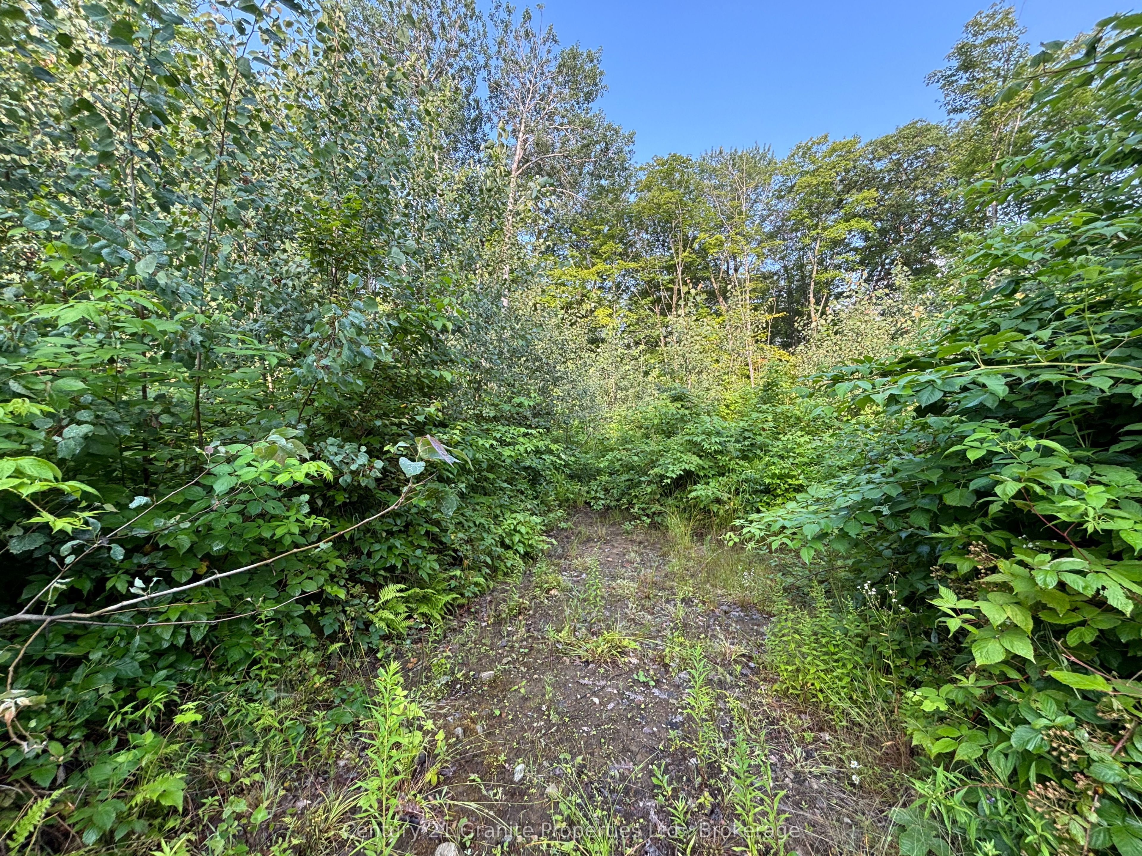 Lot 5 Louisa Street Property Photo 5
