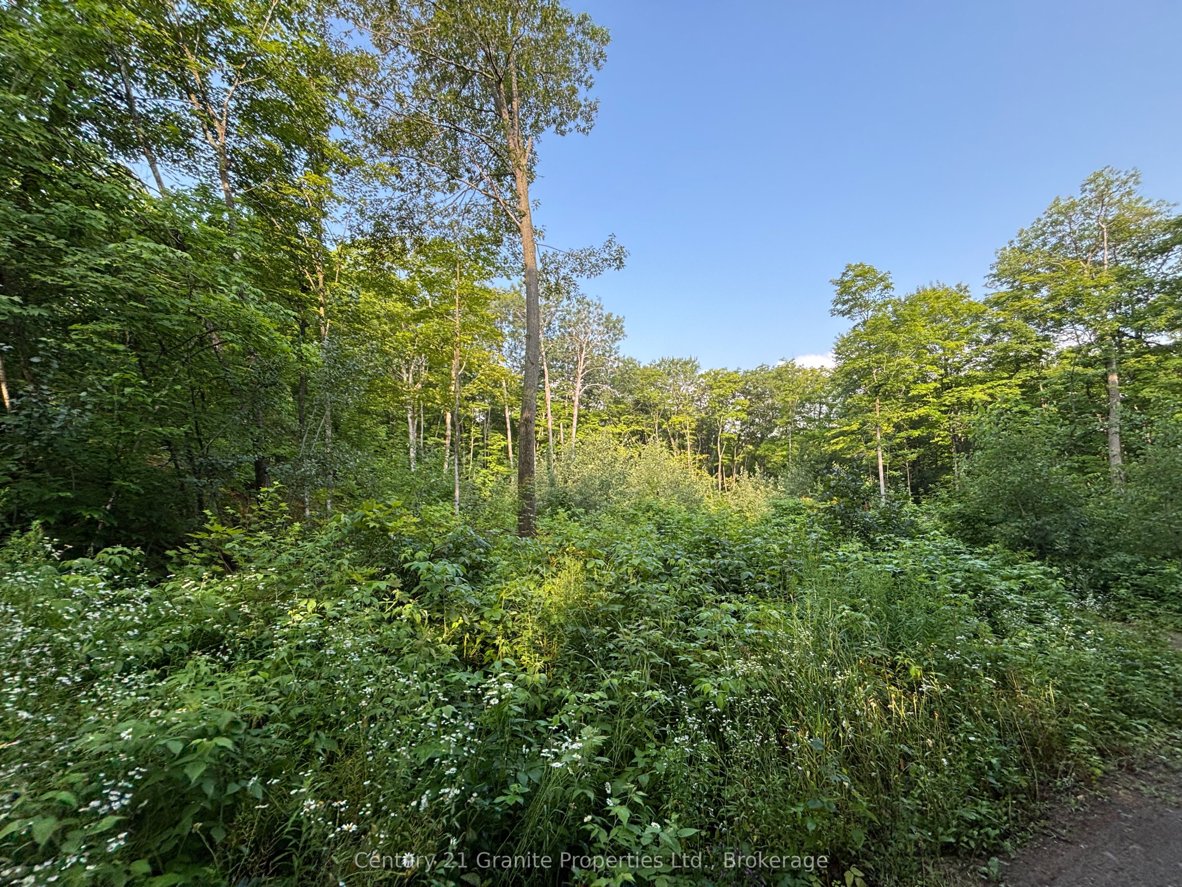 Lot 5 Louisa Street Property Photo 10