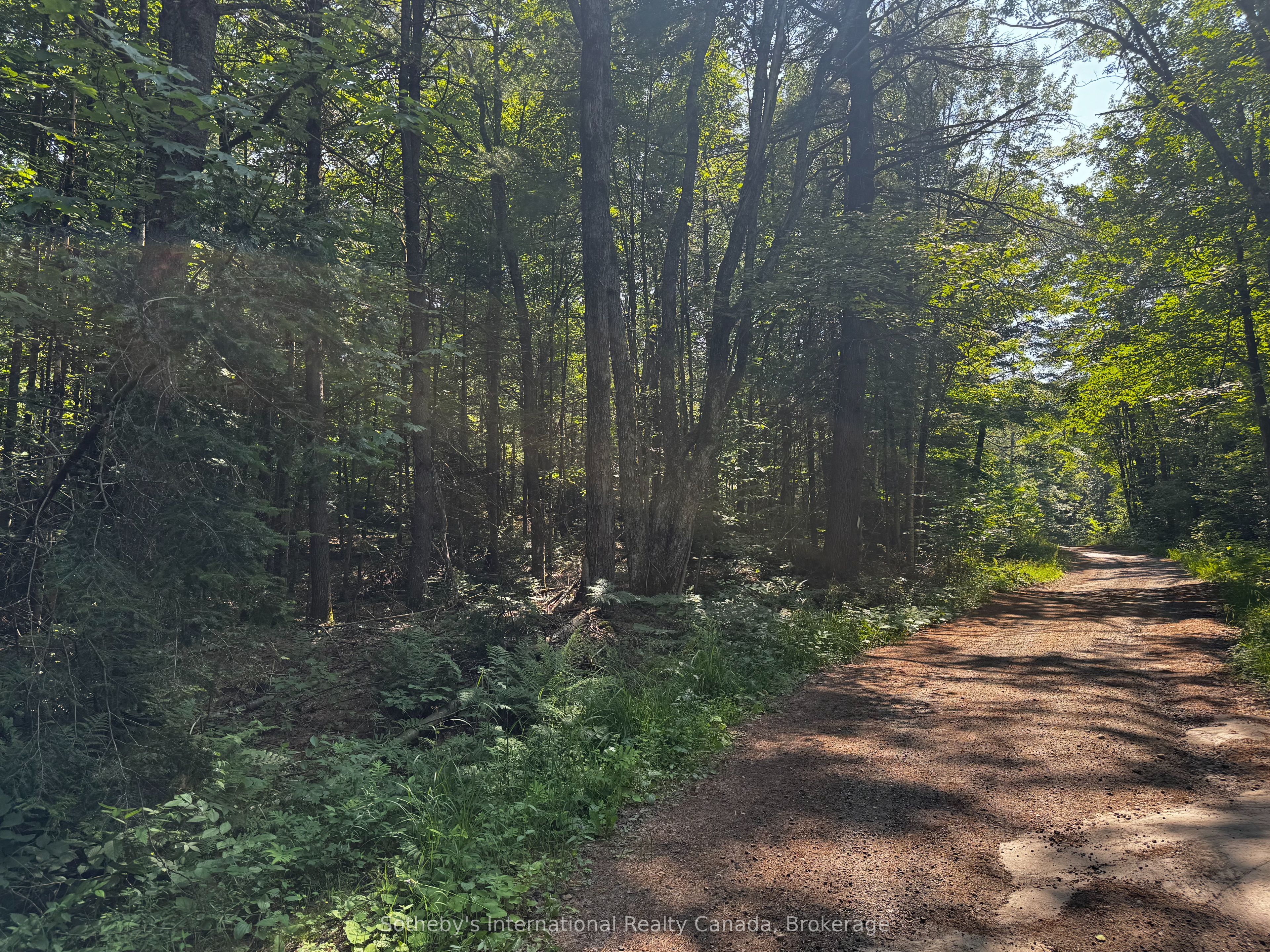 0 Kirk Line Property Photo 1