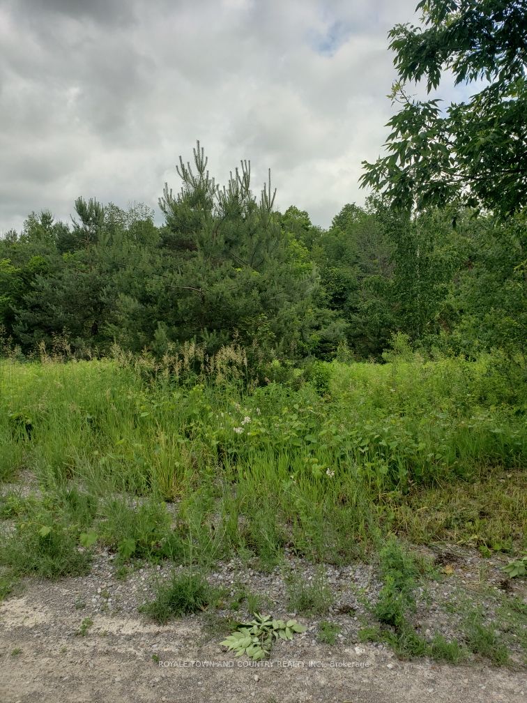 59 Hutchinson Rd
