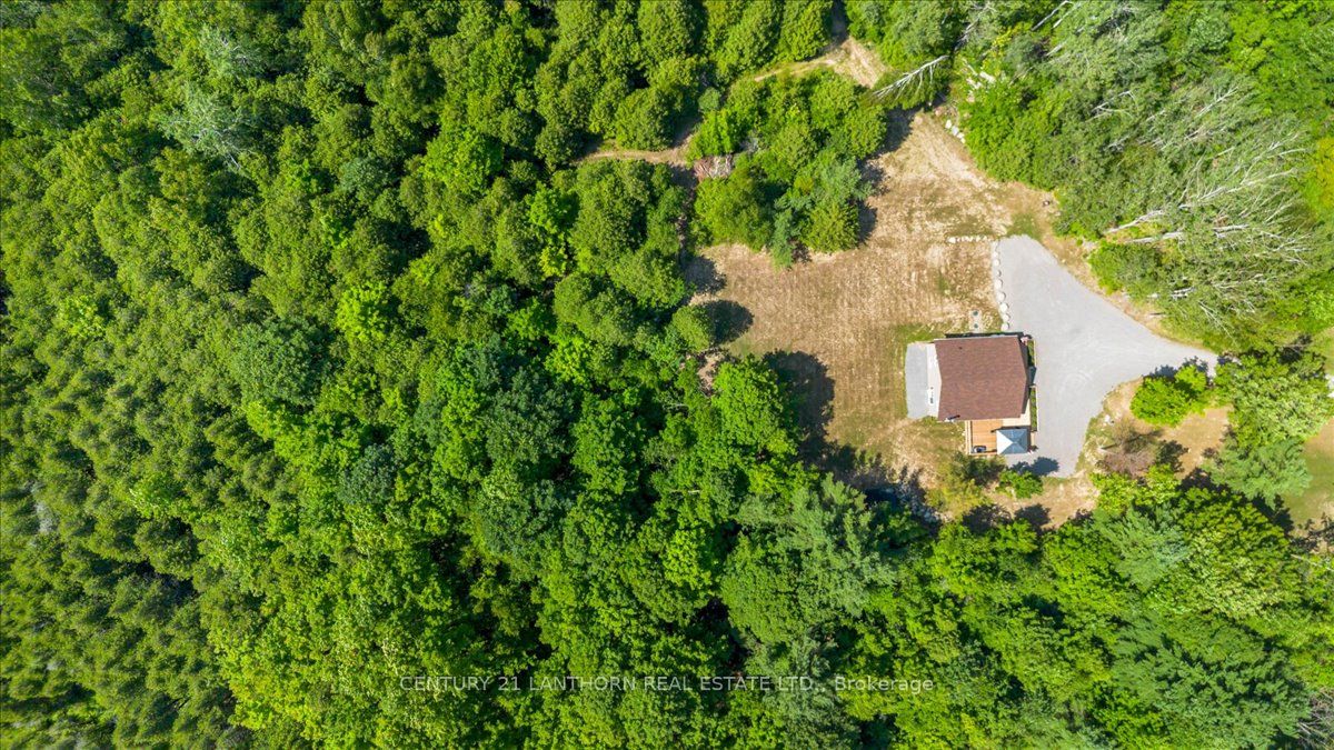 101 Thompson Road Property Photo 43