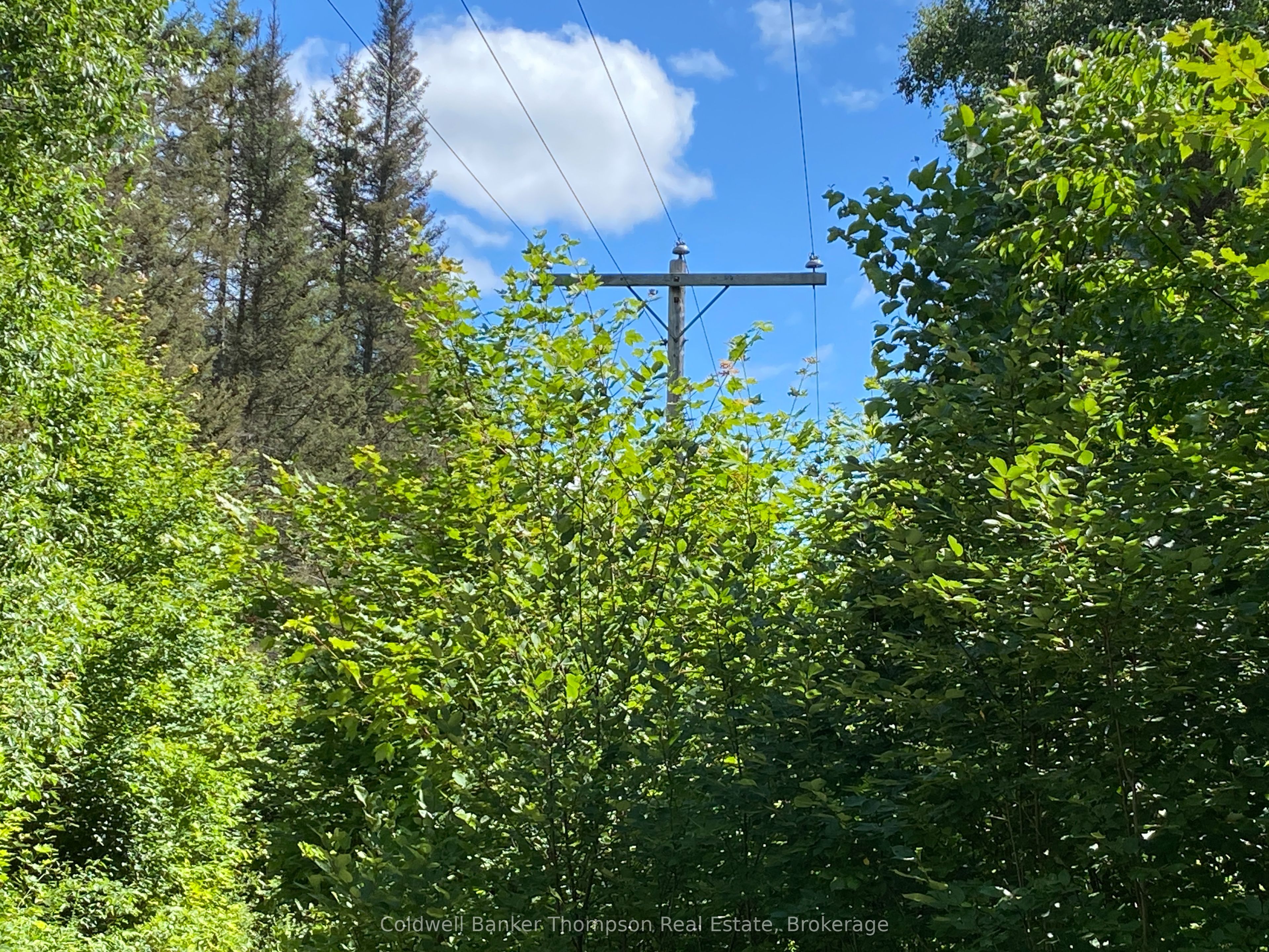 127 Chrest Drive Property Photo 19