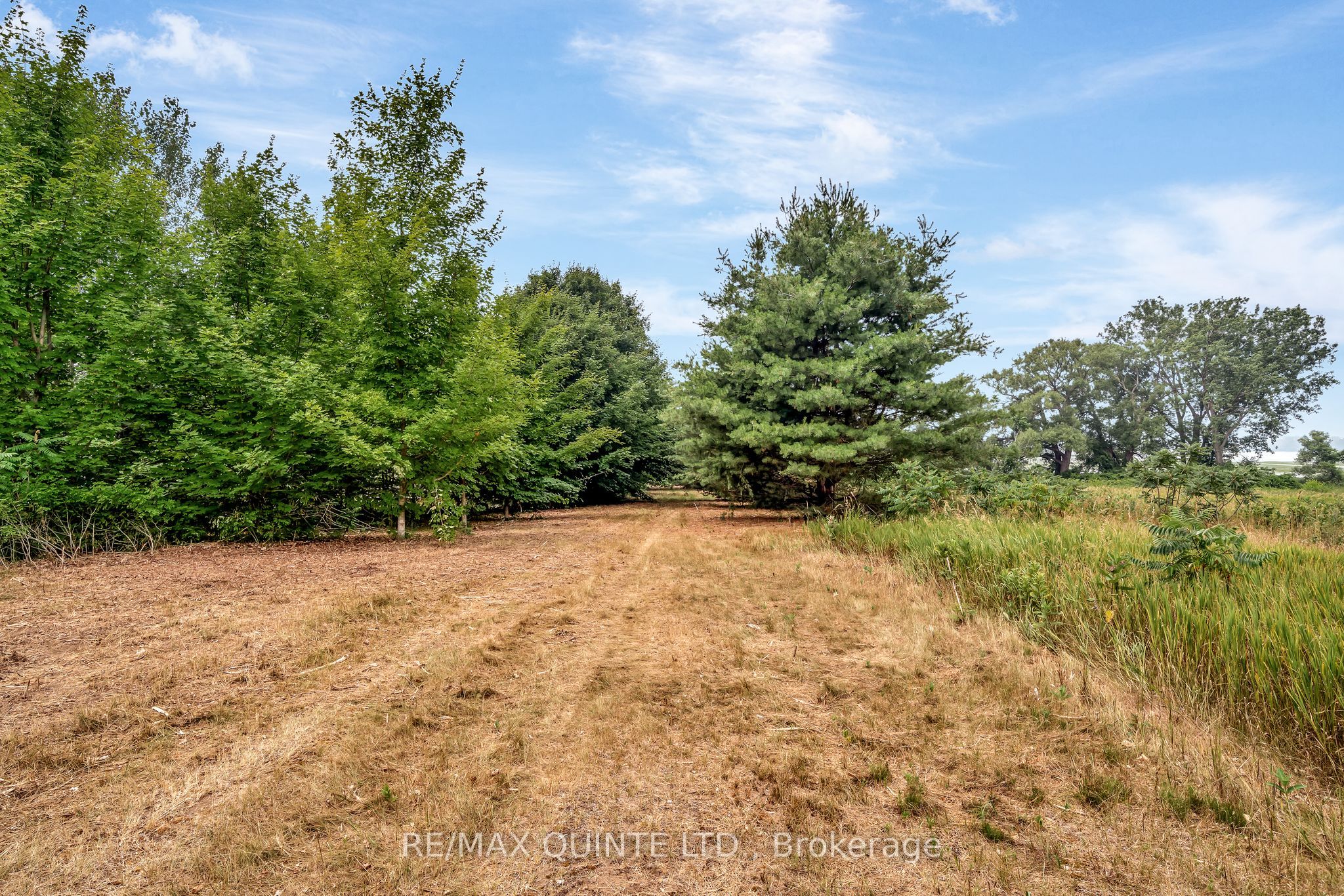 1462 County Road 12 N/a Property Photo 35