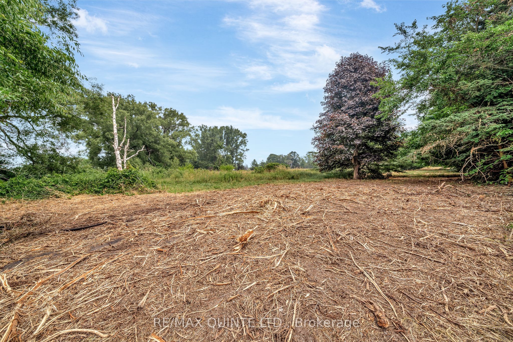 1462 County Road 12 N/a Property Photo 50