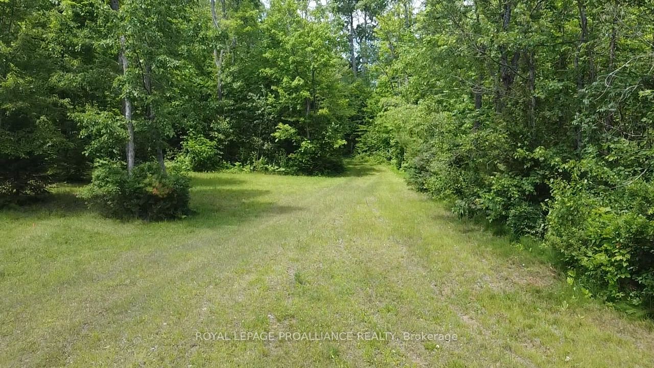 1051 Waterworth Ln Property Photo 4