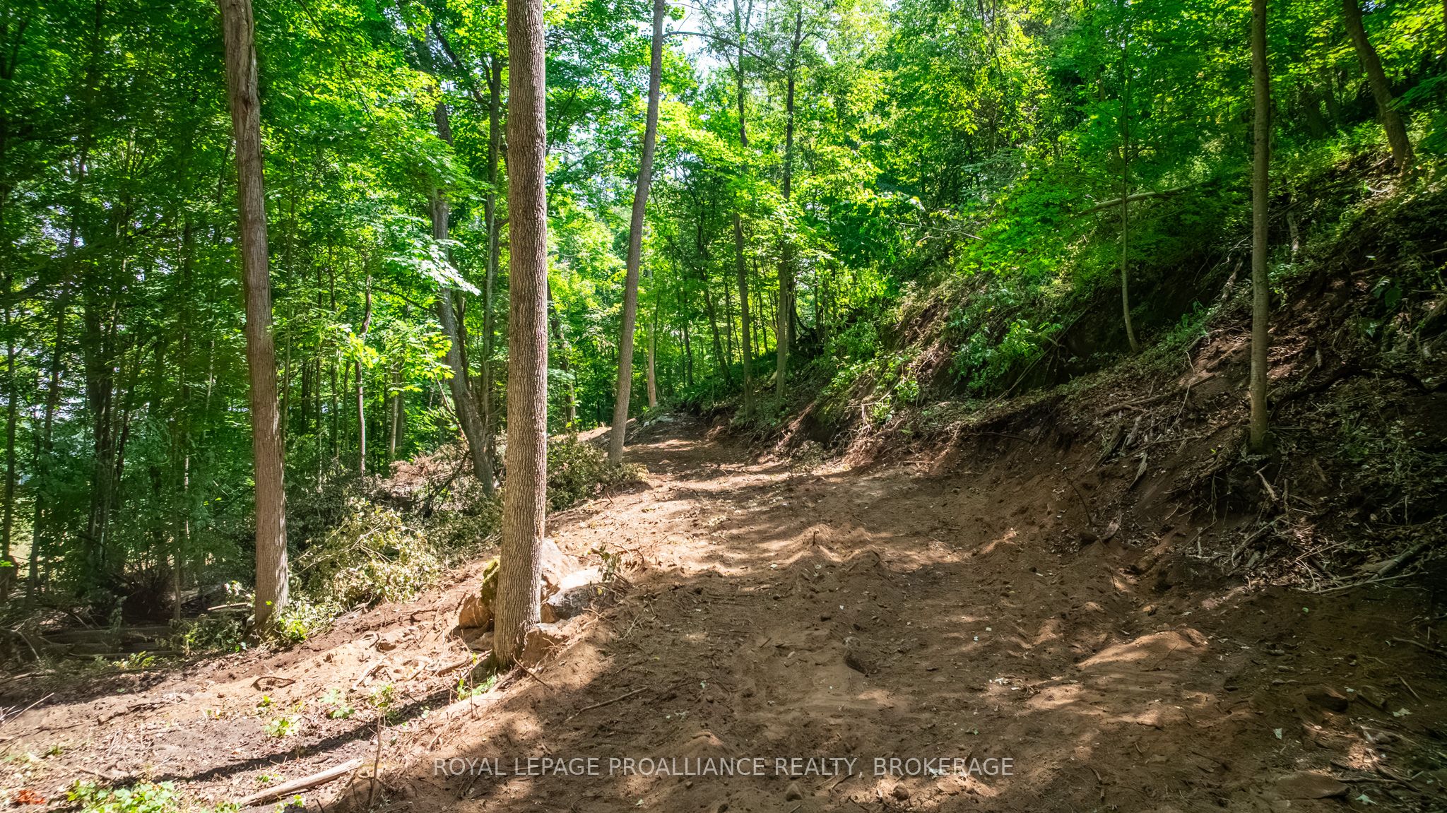 Lot 2 Trillium Lane Property Photo 16