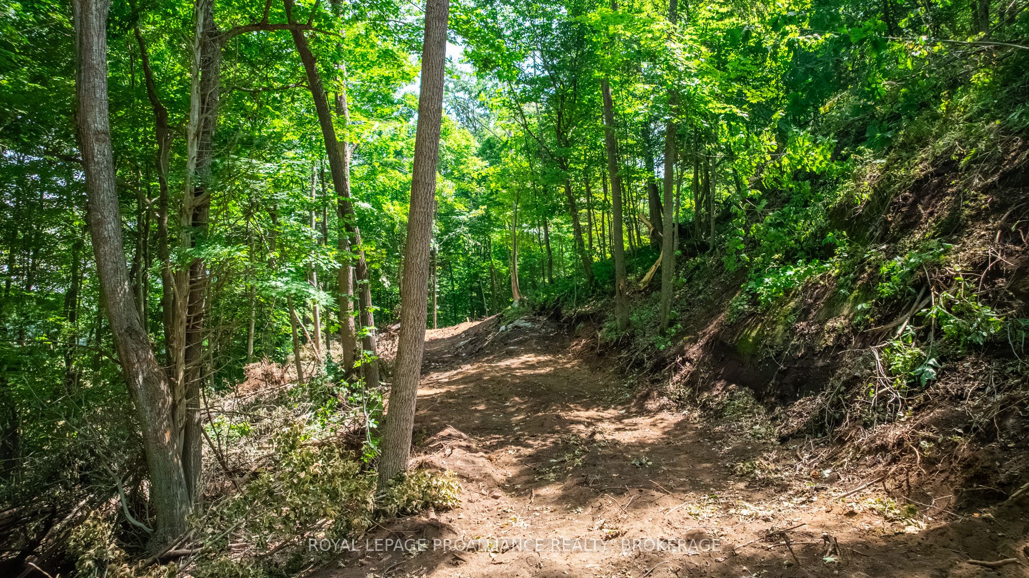 Lot 2 Trillium Lane Property Photo 17