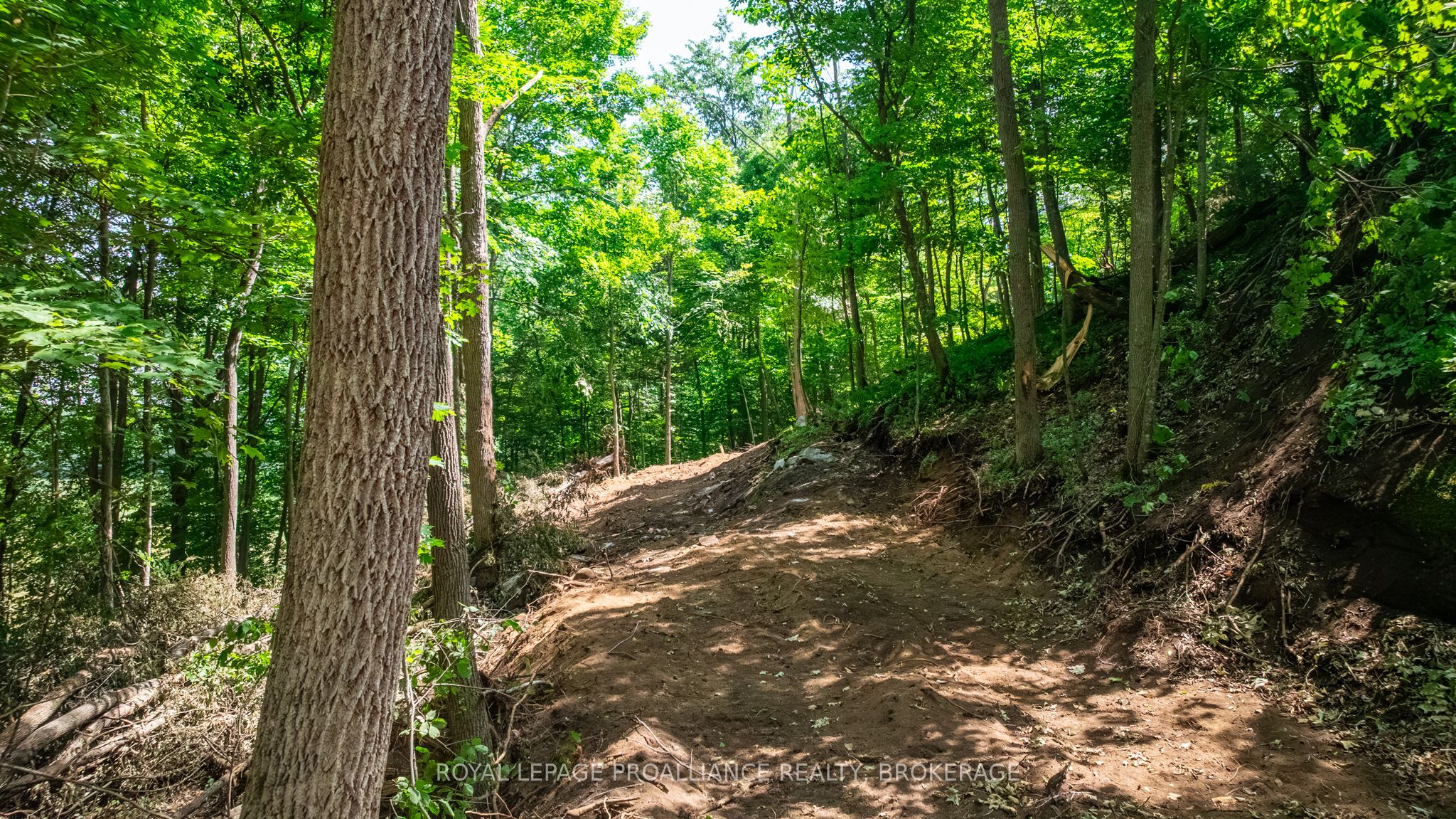 Lot 2 Trillium Lane Property Photo 18