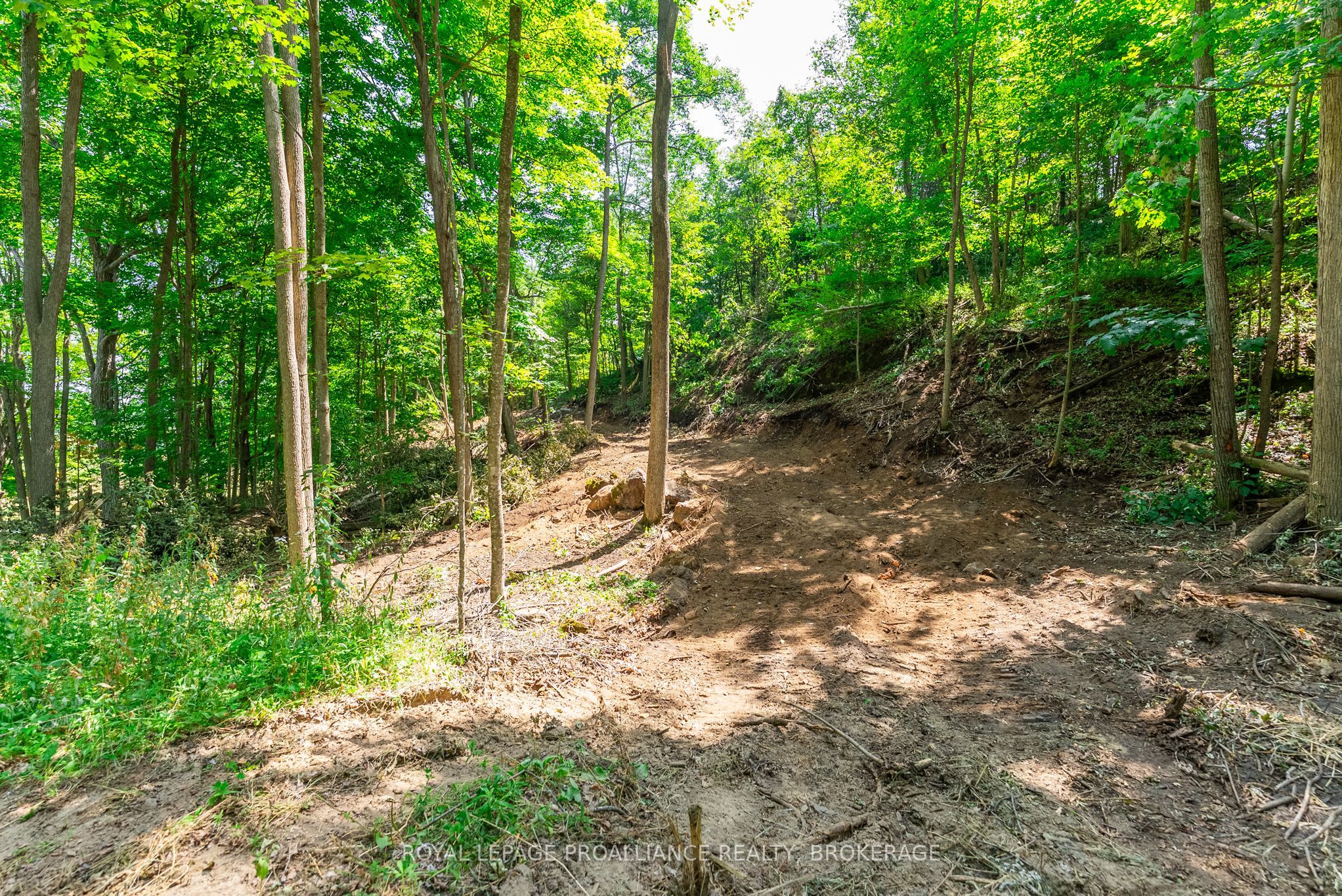 Lot 2 Trillium Lane Property Photo 20