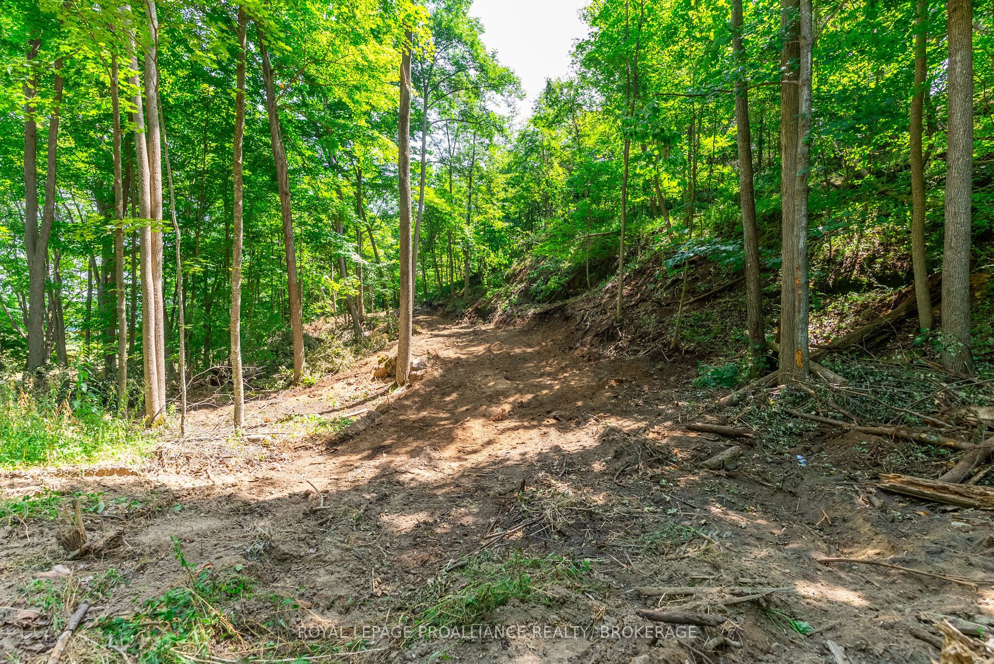 Lot 2 Trillium Lane Property Photo 21