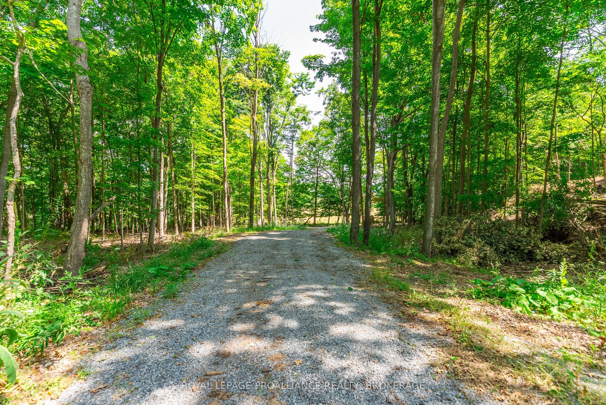 Lot 2 Trillium Lane Property Photo 22