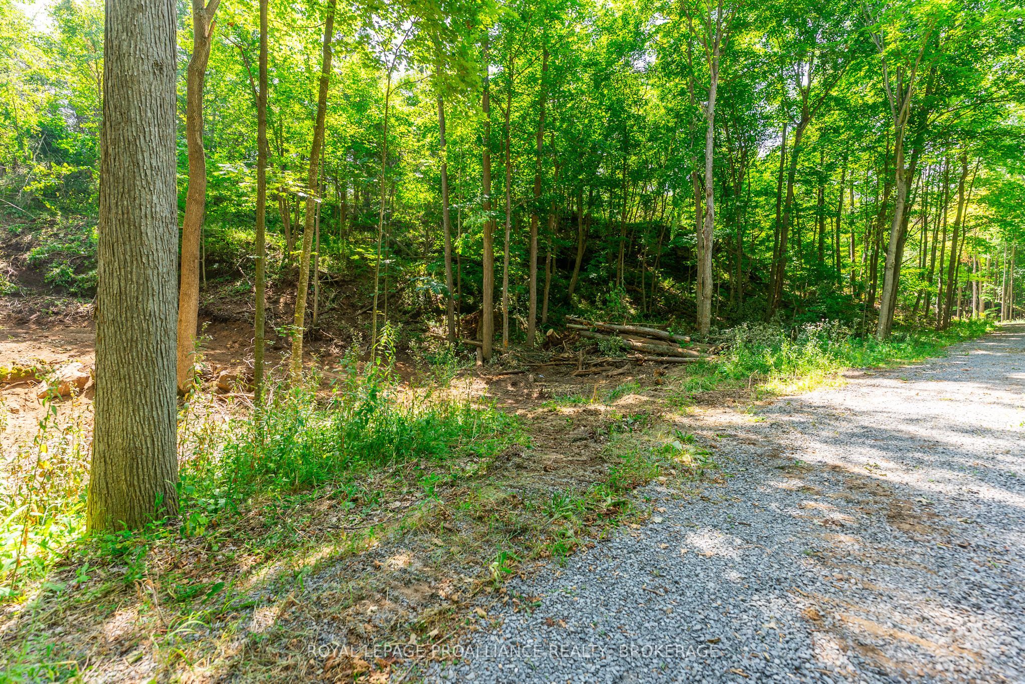 Lot 2 Trillium Lane Property Photo 23