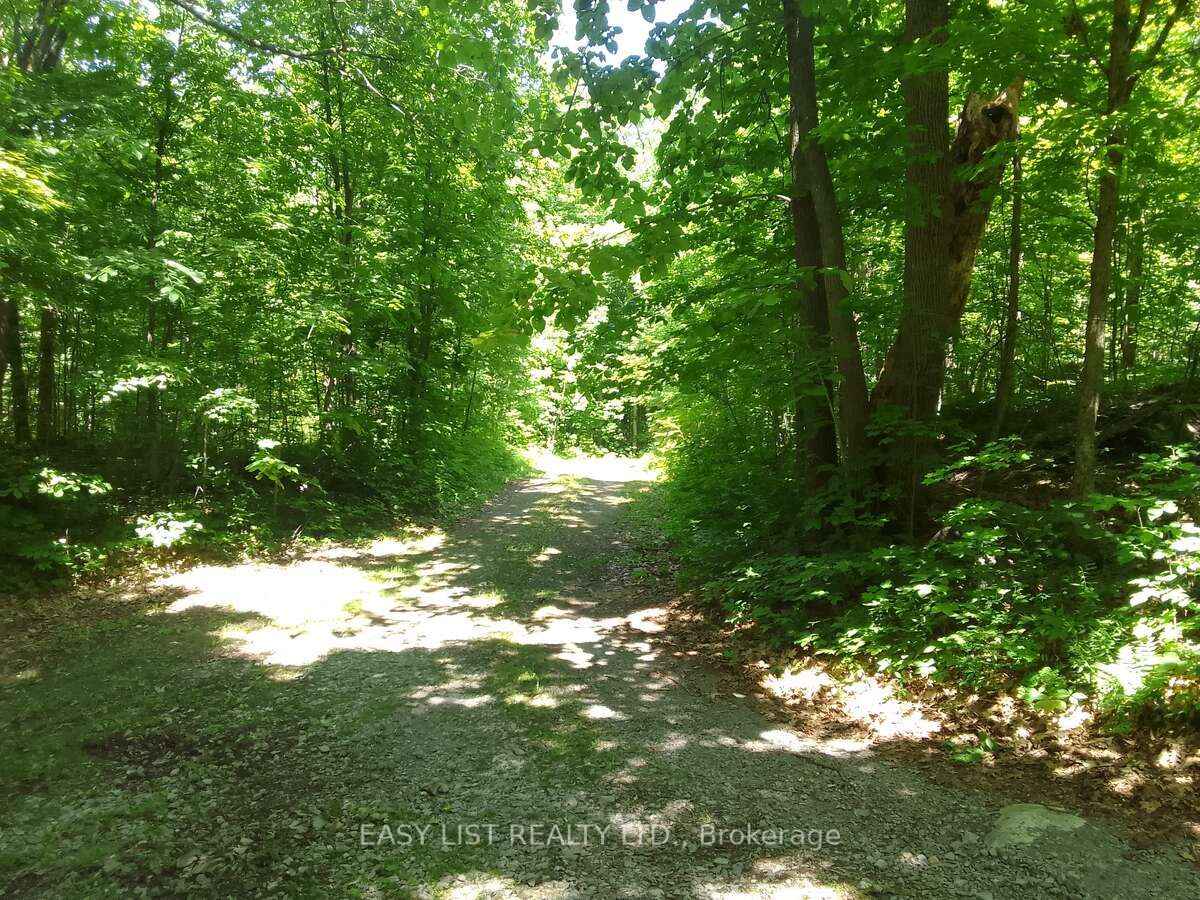 75 - 372 Murphy Road Property Photo 12
