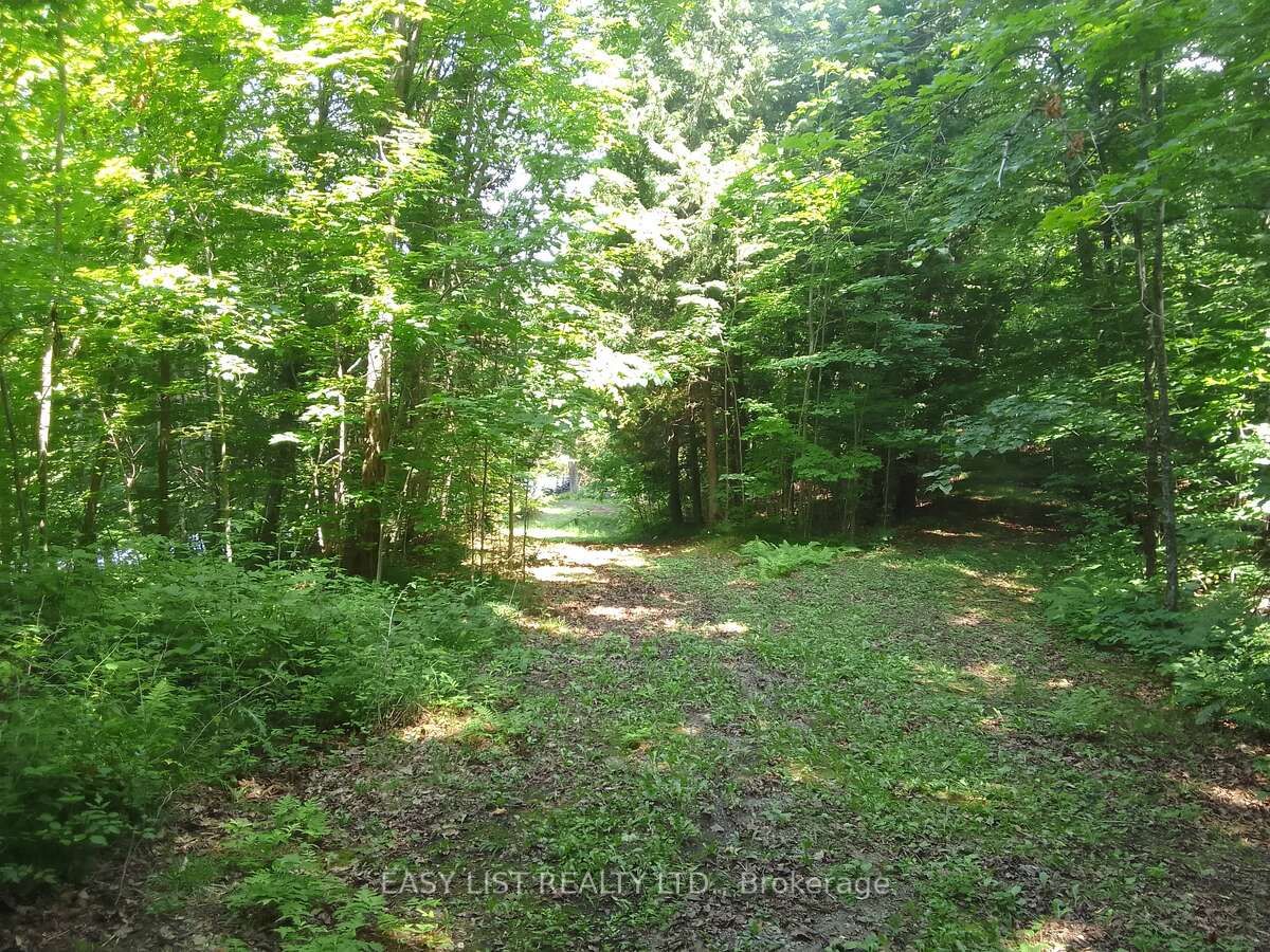 75 - 372 Murphy Road Property Photo 13