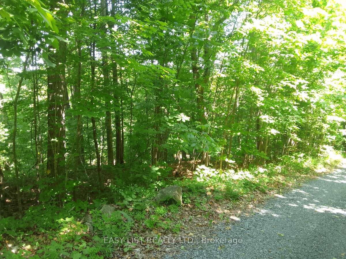 75 - 372 Murphy Road Property Photo 15