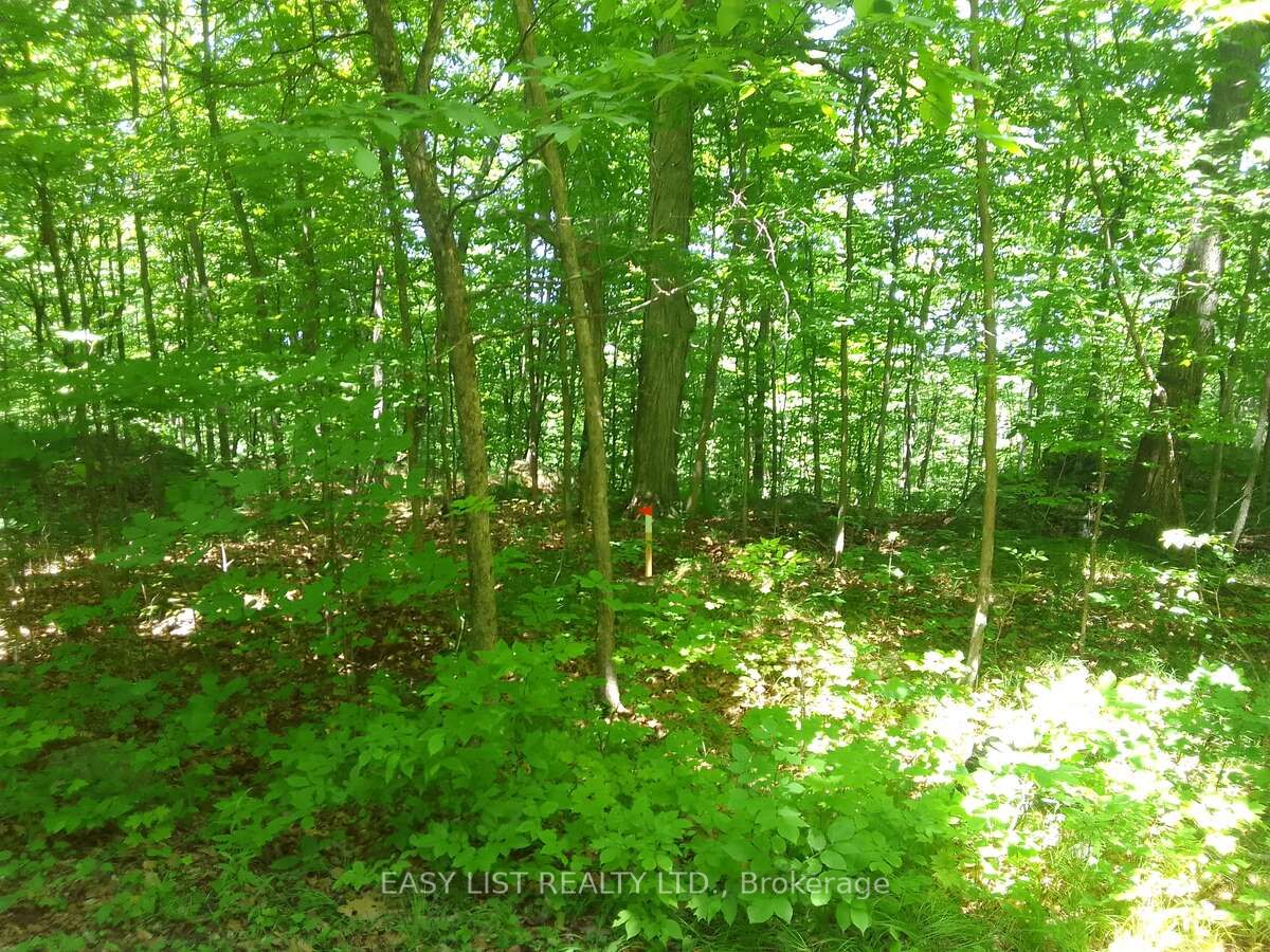 75 - 372 Murphy Road Property Photo 17