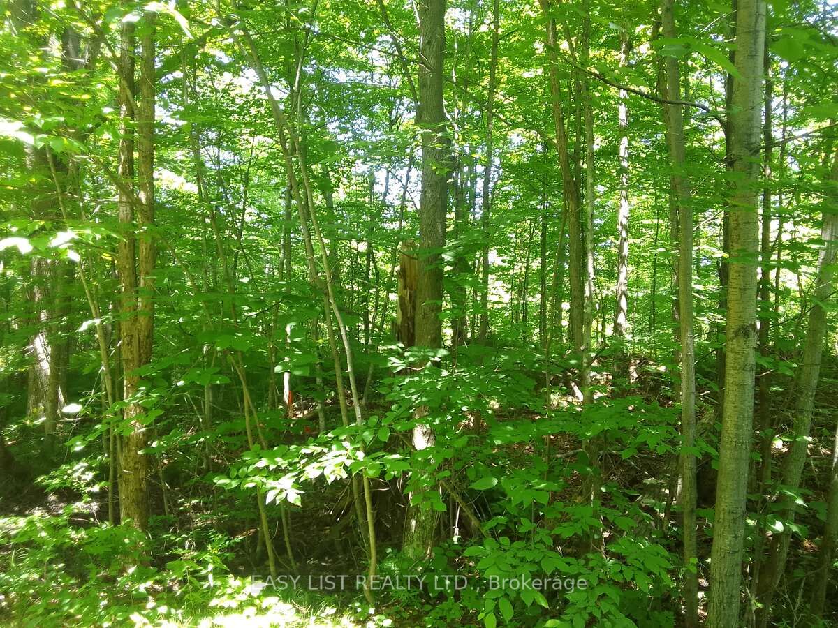 75 - 372 Murphy Road Property Photo 18