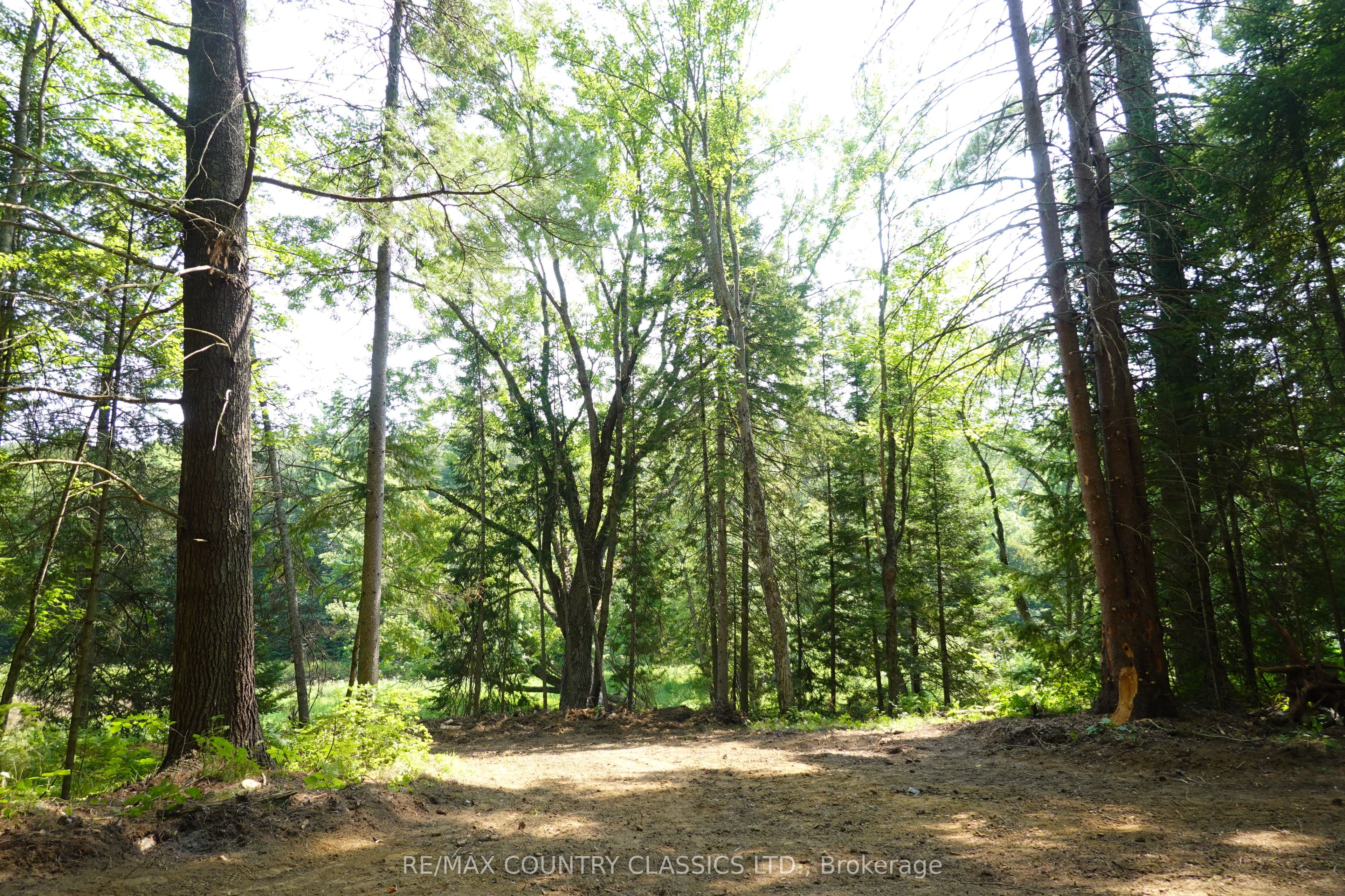 739b Bronson Road Property Photo 11