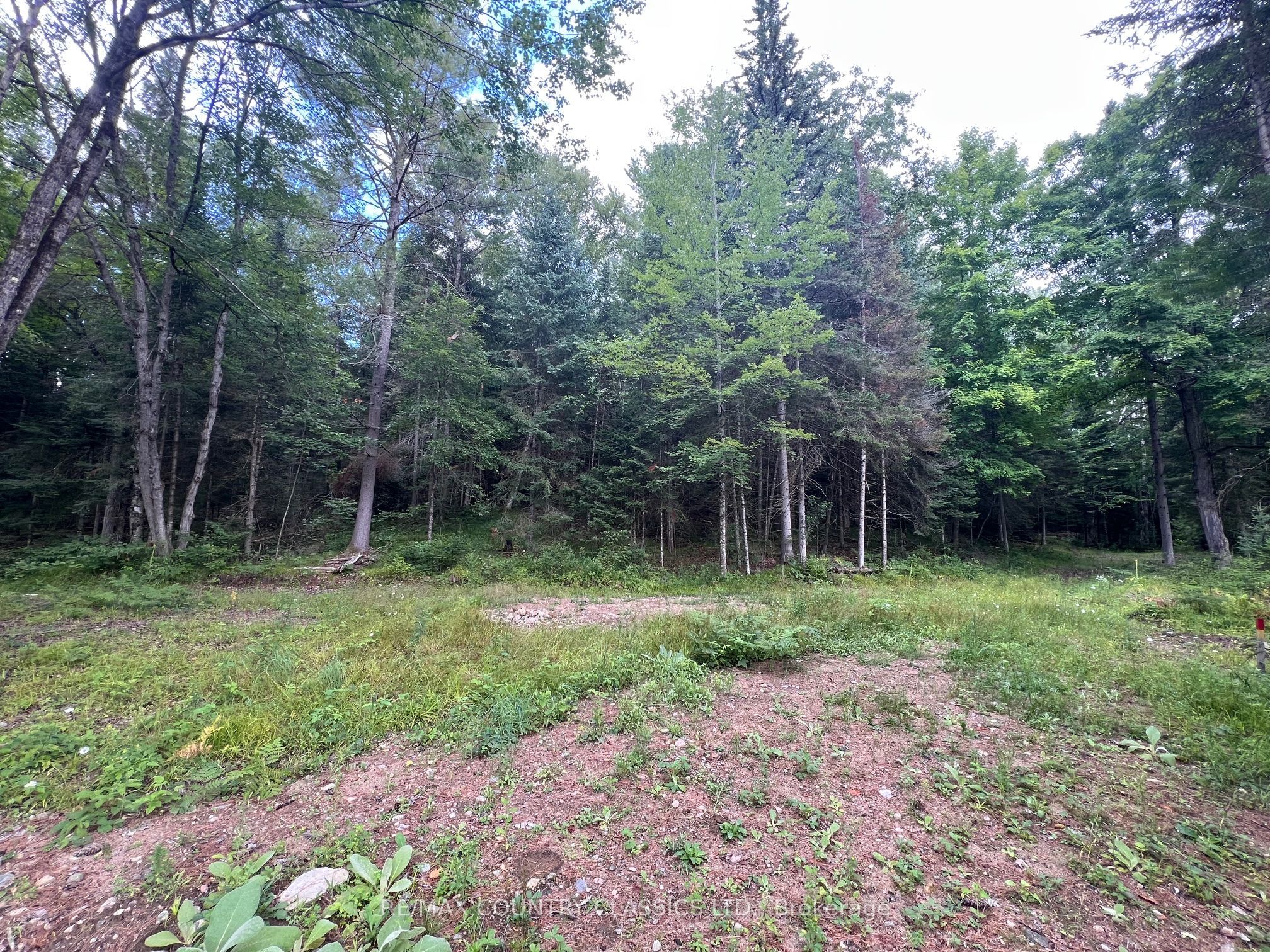 739b Bronson Road Property Photo 25