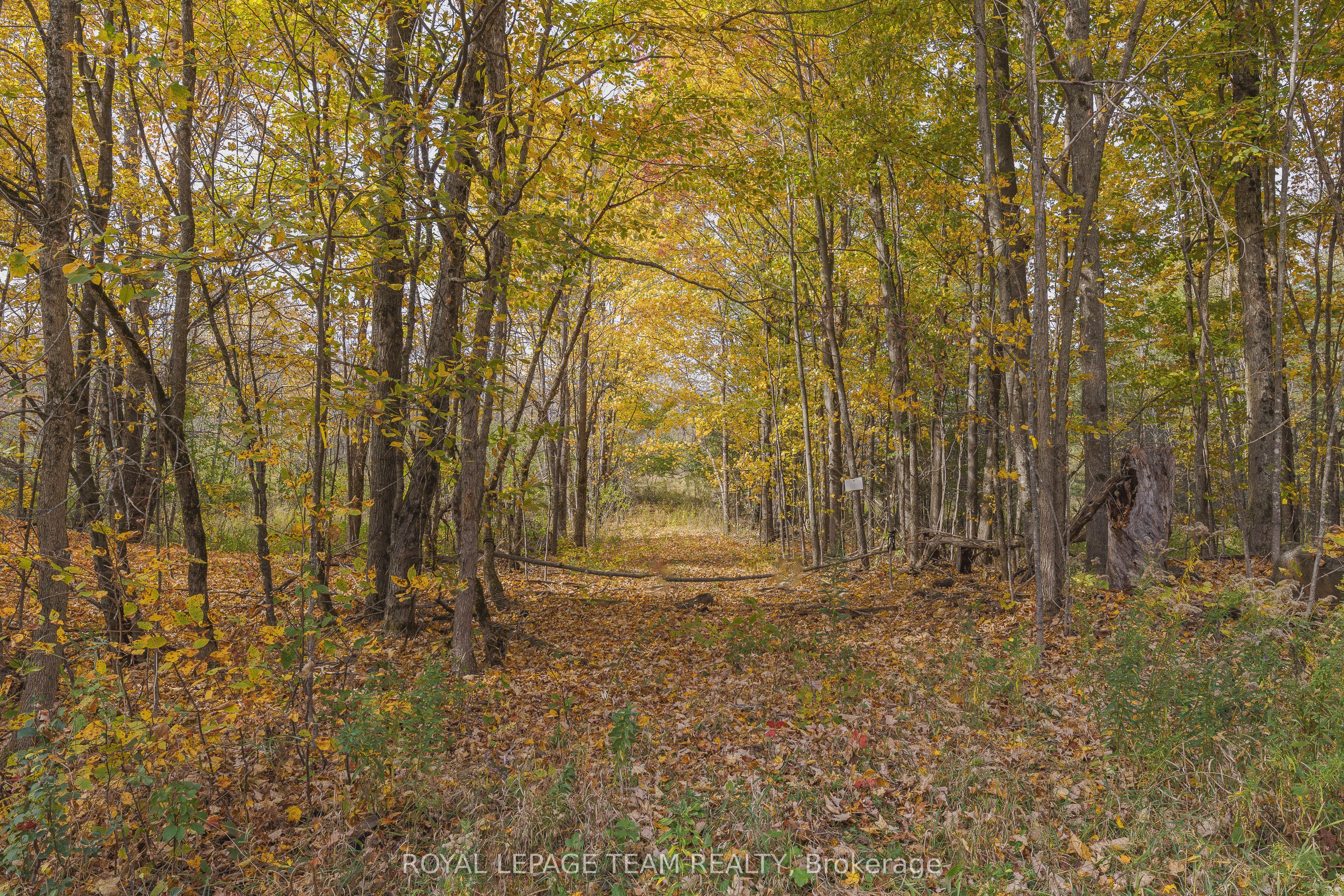 Lot 7 10th Concession B Road Property Photo 3