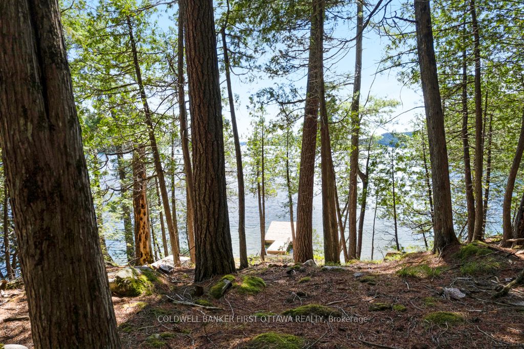 000 Palmerston Lake N/a Property Photo 7