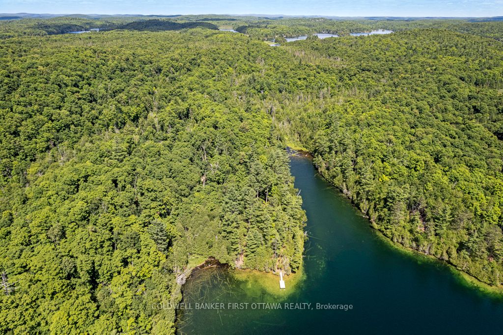 000 Palmerston Lake N/a Property Photo 9