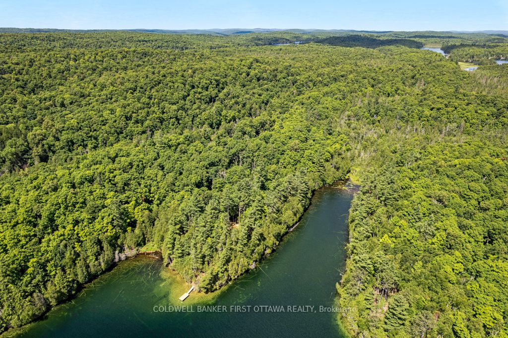 000 Palmerston Lake N/a Property Photo 11