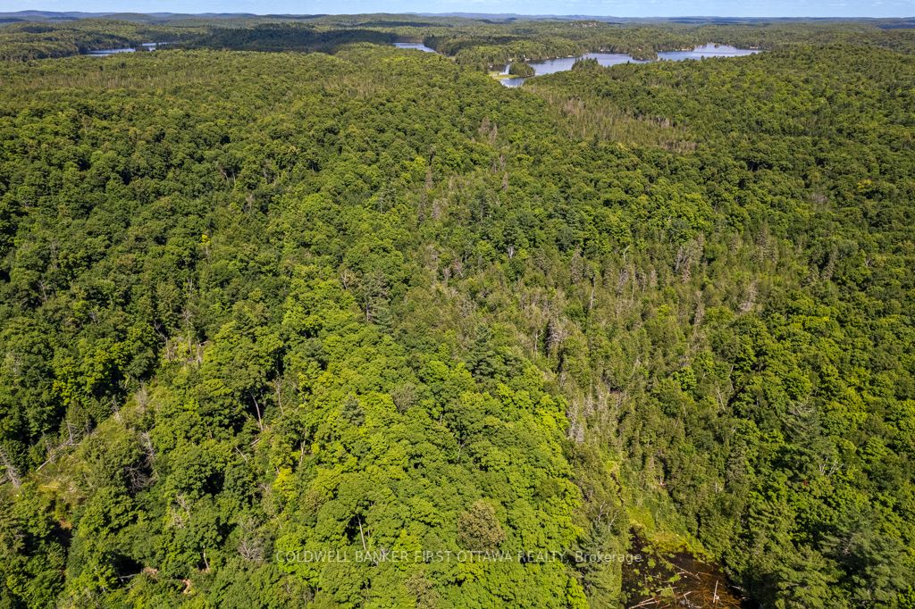 000 Palmerston Lake N/a Property Photo 13