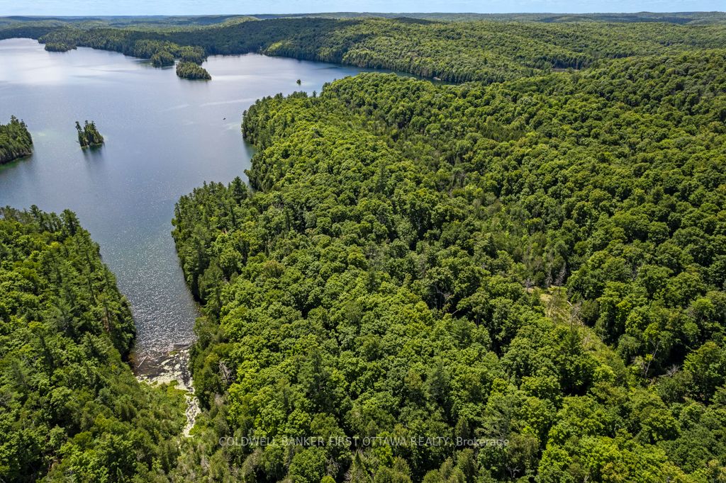 000 Palmerston Lake N/a Property Photo 14