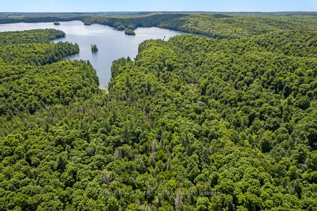 000 Palmerston Lake N/a Property Photo 16
