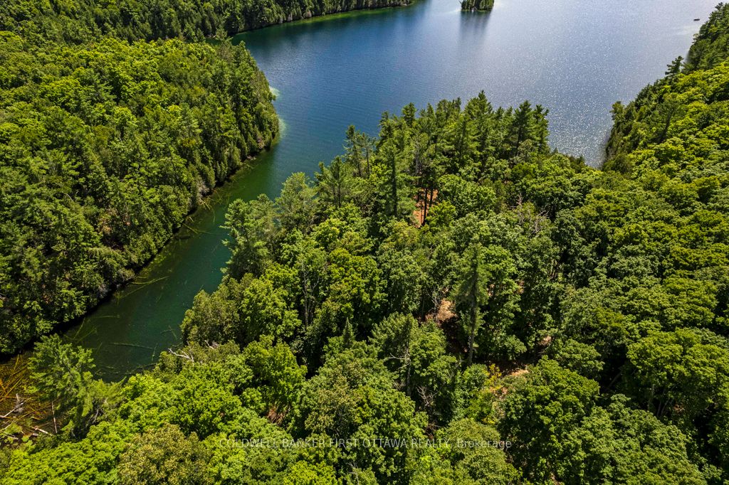 000 Palmerston Lake N/a Property Photo 20