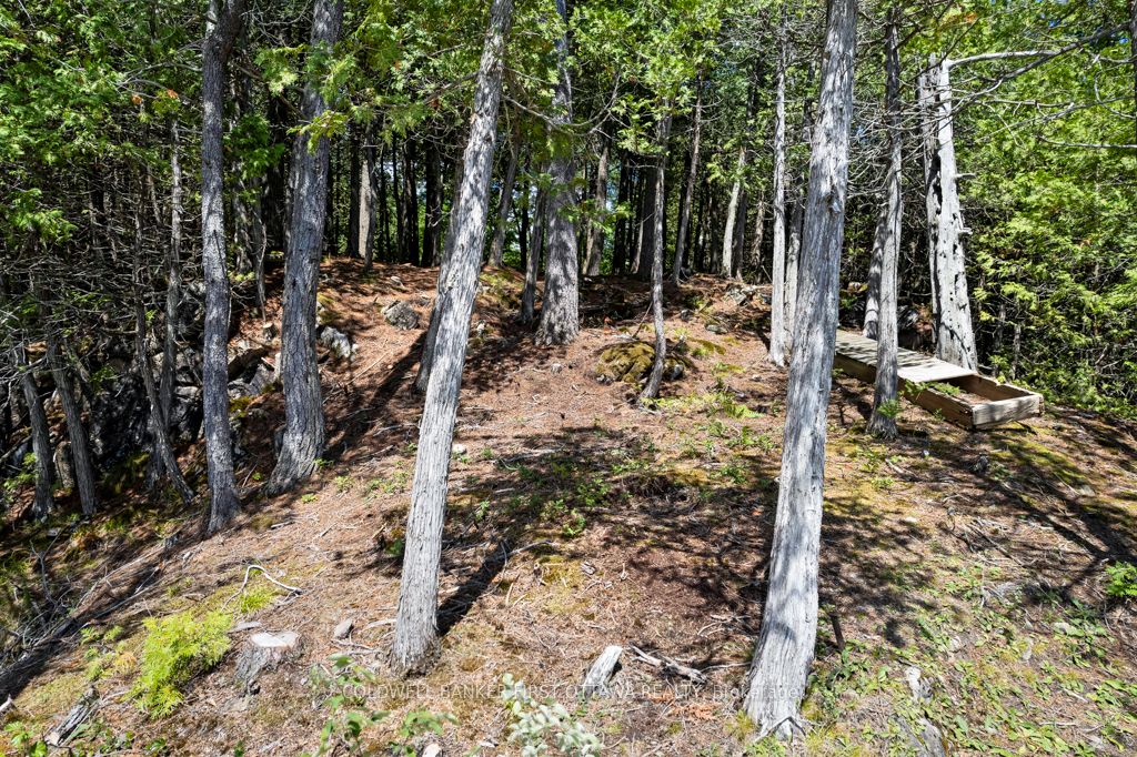 000 Palmerston Lake N/a Property Photo 22