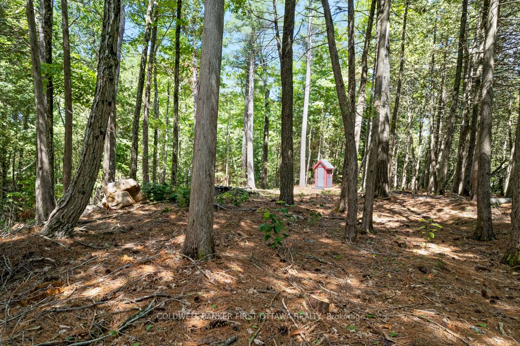 000 Palmerston Lake N/a Property Photo 23
