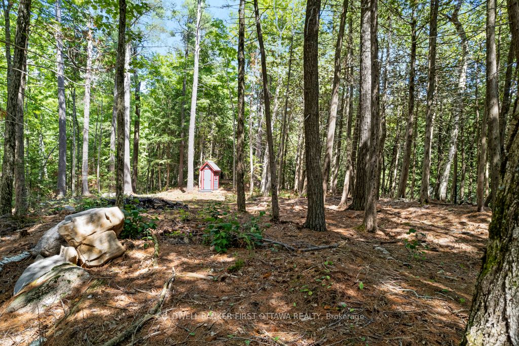000 Palmerston Lake N/a Property Photo 24