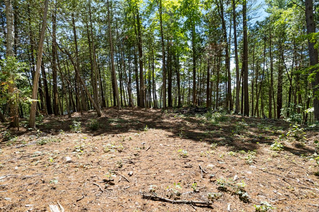 000 Palmerston Lake N/a Property Photo 28