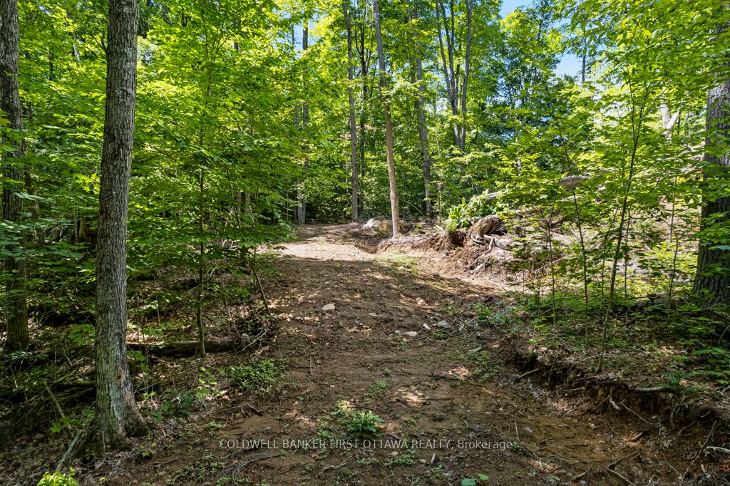 000 Palmerston Lake N/a Property Photo 29